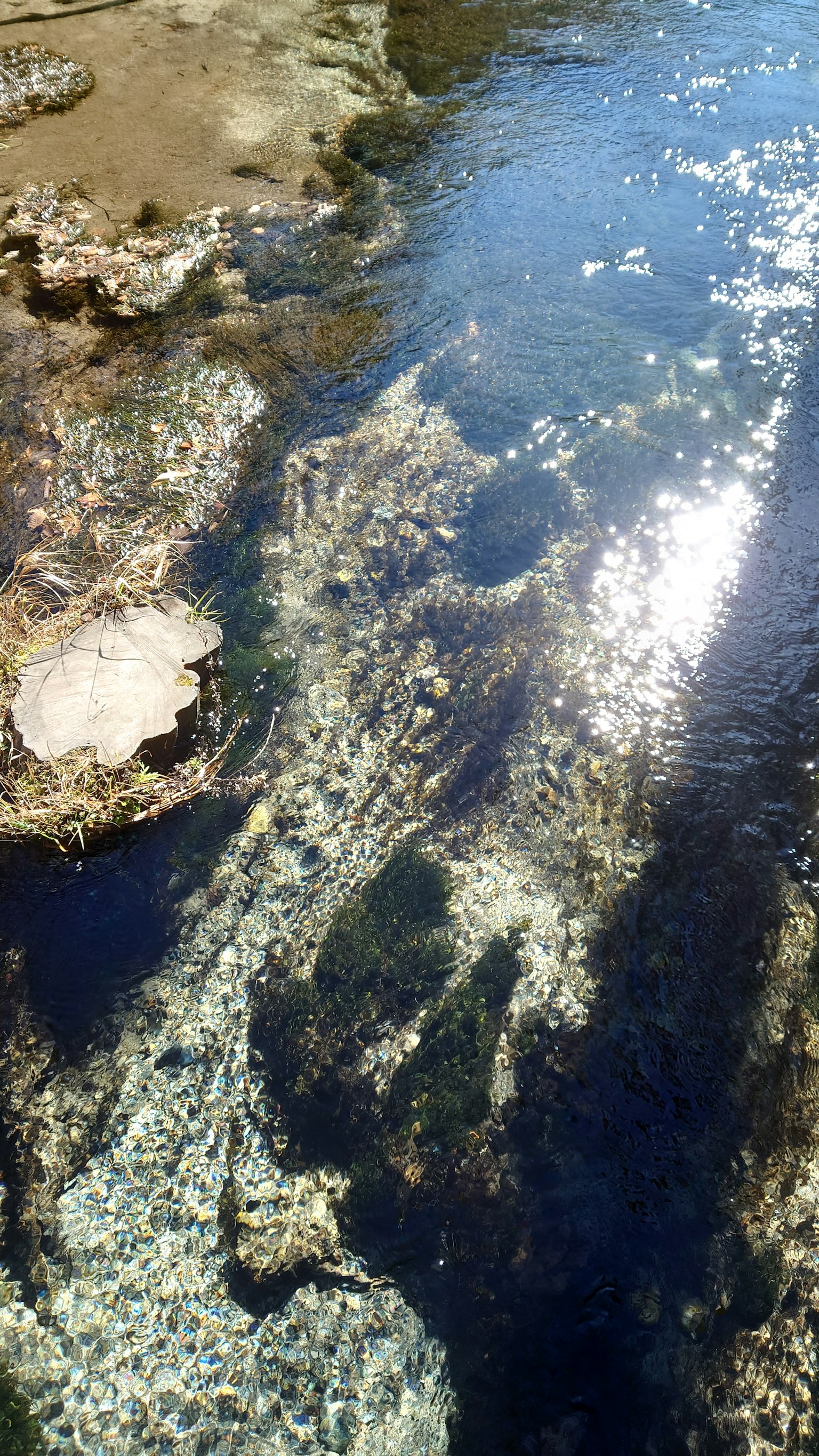 Klares Wasser, das über Felsen fließt, mit Lichtreflexionen