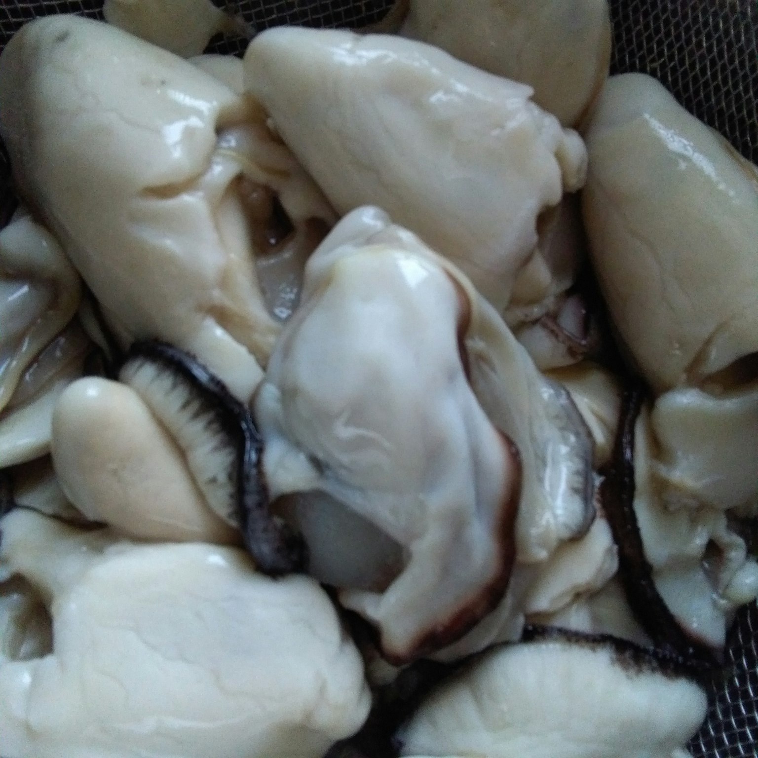 A collection of fresh shellfish in a basket