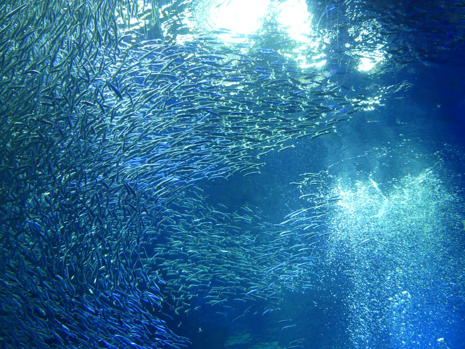 photo-omKtMrJKereYD0ZvMQzs-image