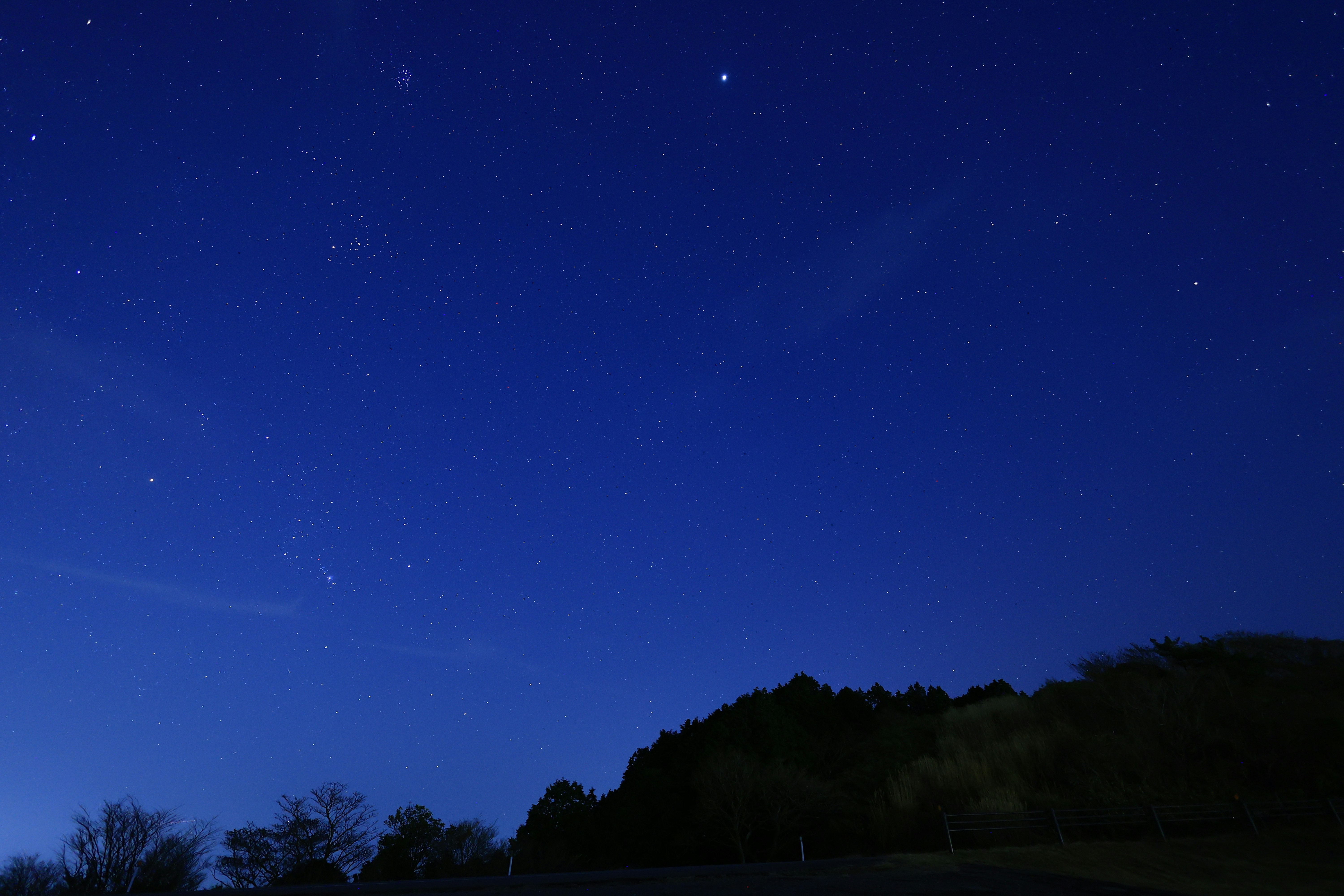 夜空に広がる星と森のシルエットの風景
