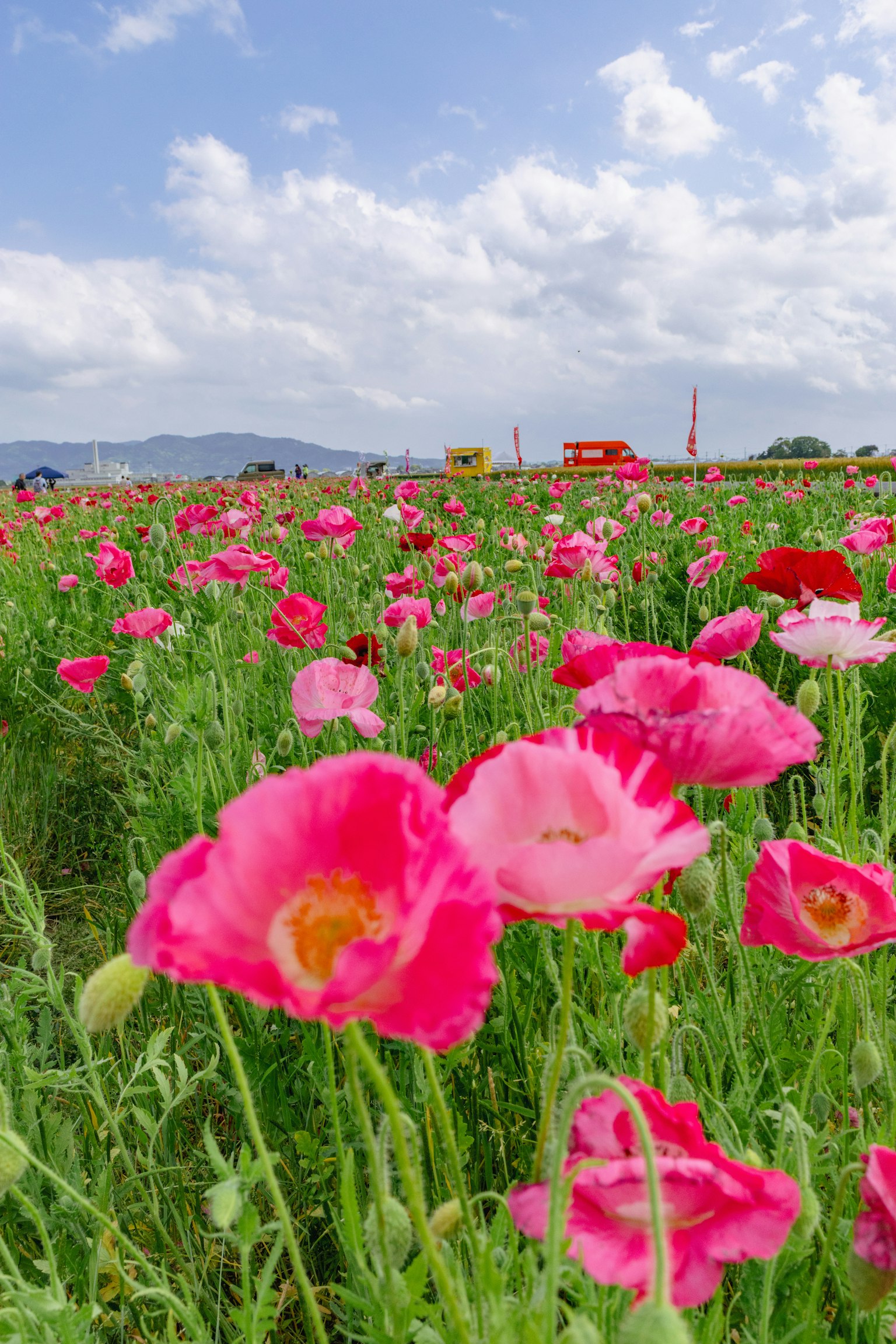 photo-omiC40vKXDtGSUEEPID0-image