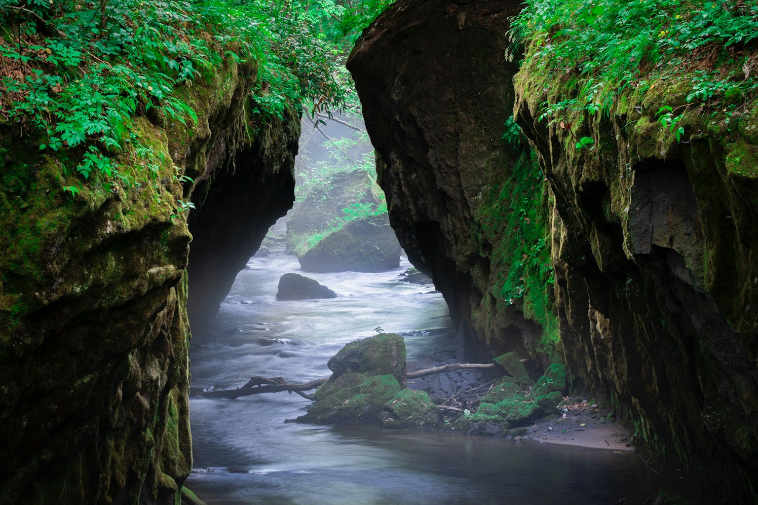 Gorge étroite entourée de verdure luxuriante et d'une rivière calme
