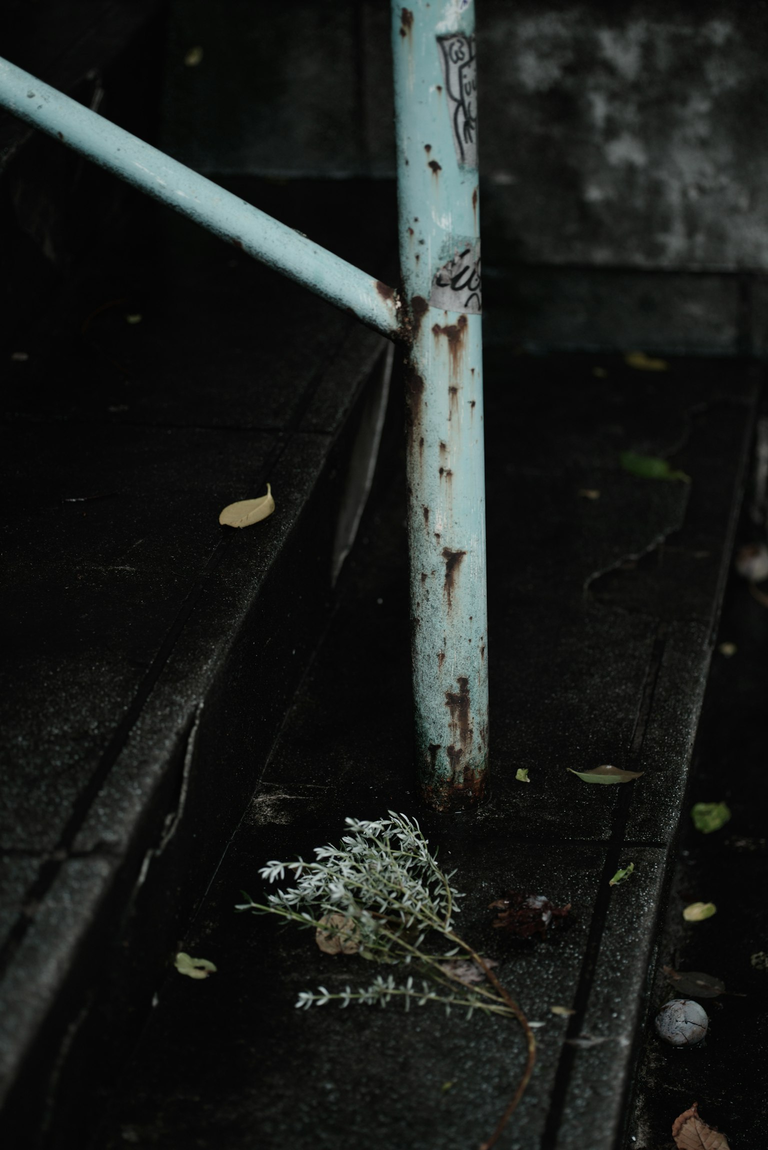 Rampe bleue rouillée à l'angle d'un escalier avec un bouquet blanc