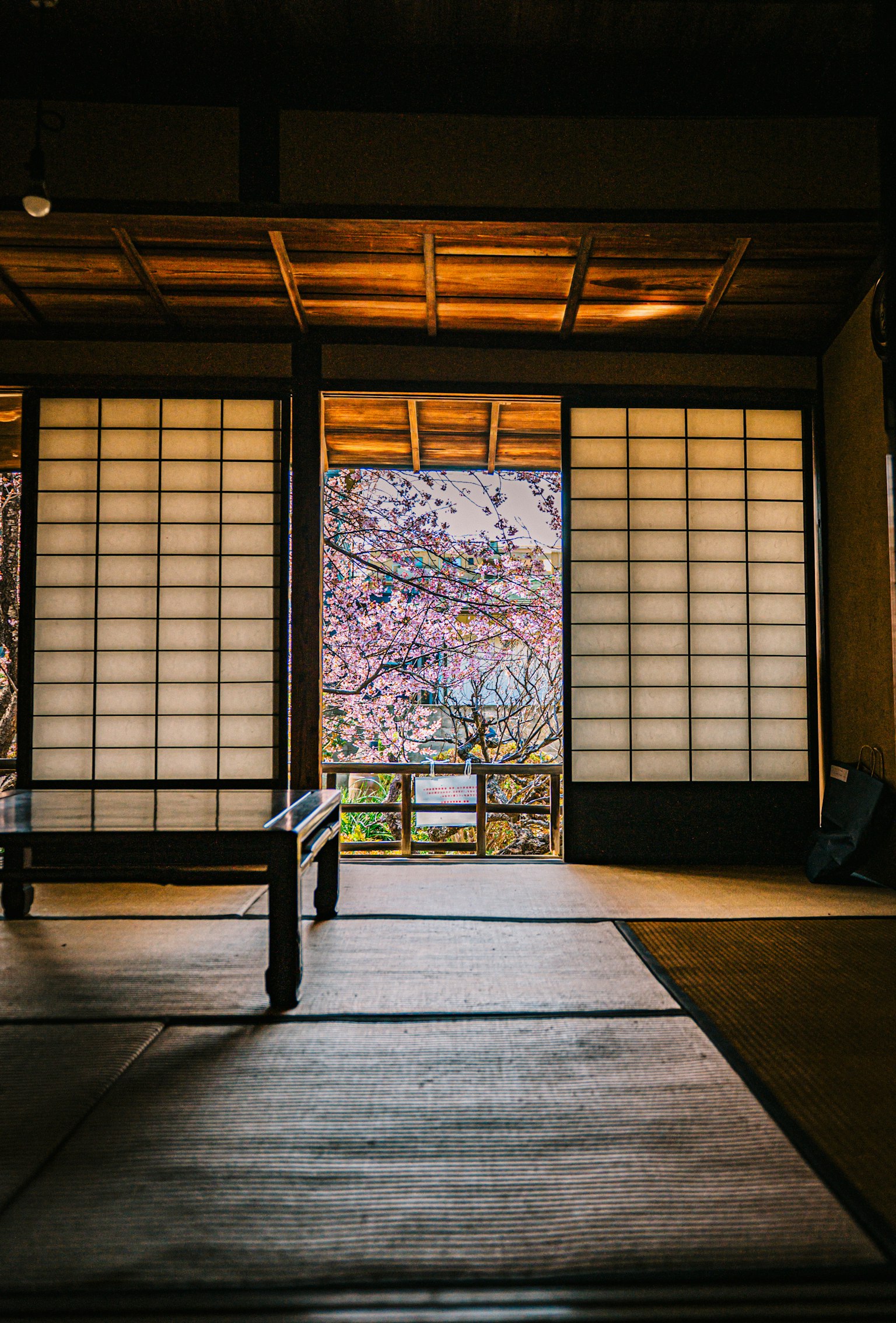 Vista interior de una habitación japonesa tradicional con cerezos en flor visibles a través de puertas shoji