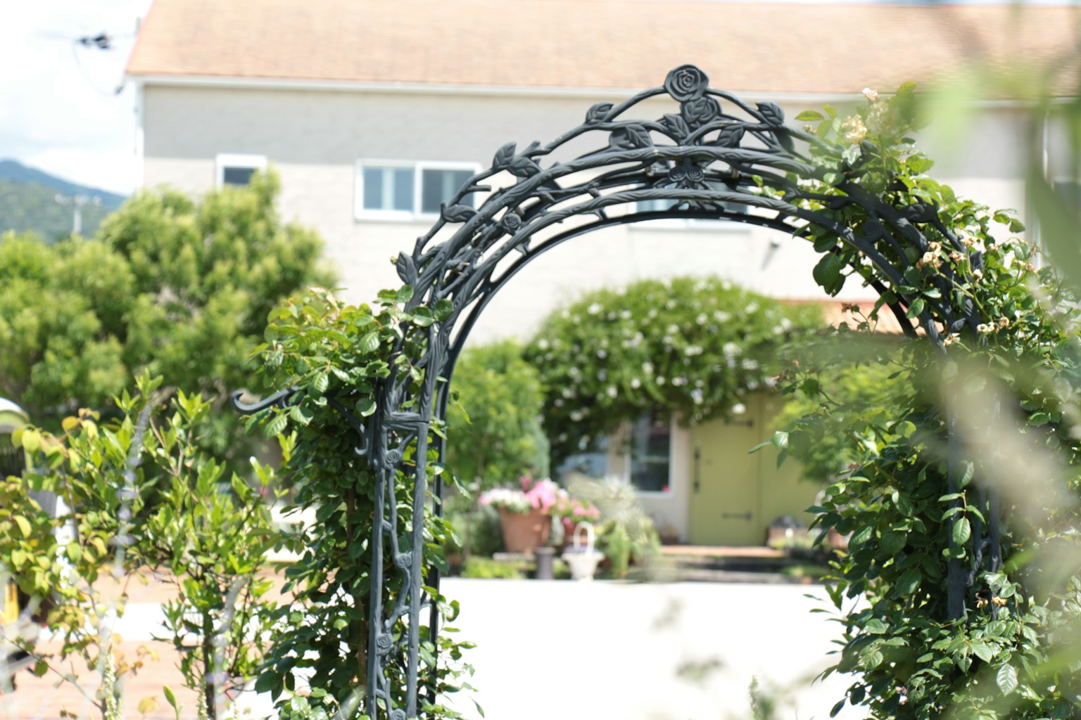 Arco de jardín con vegetación exuberante y casa de fondo