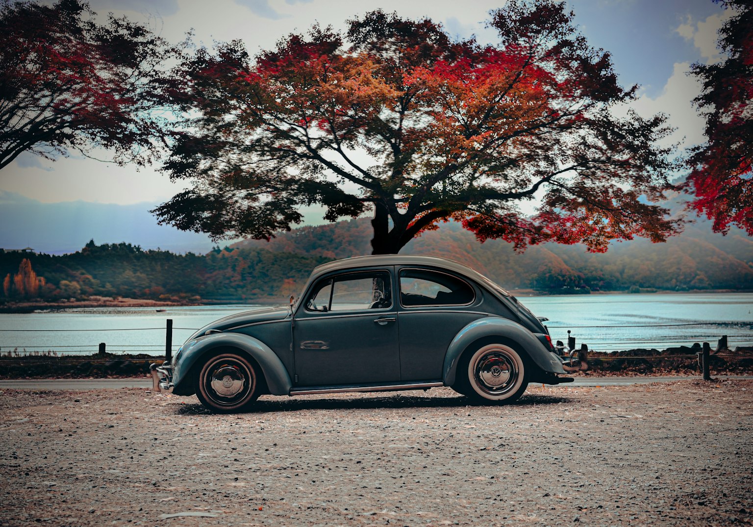 美しい紅葉の木の下に停まっているクラシックカーの横側のビュー