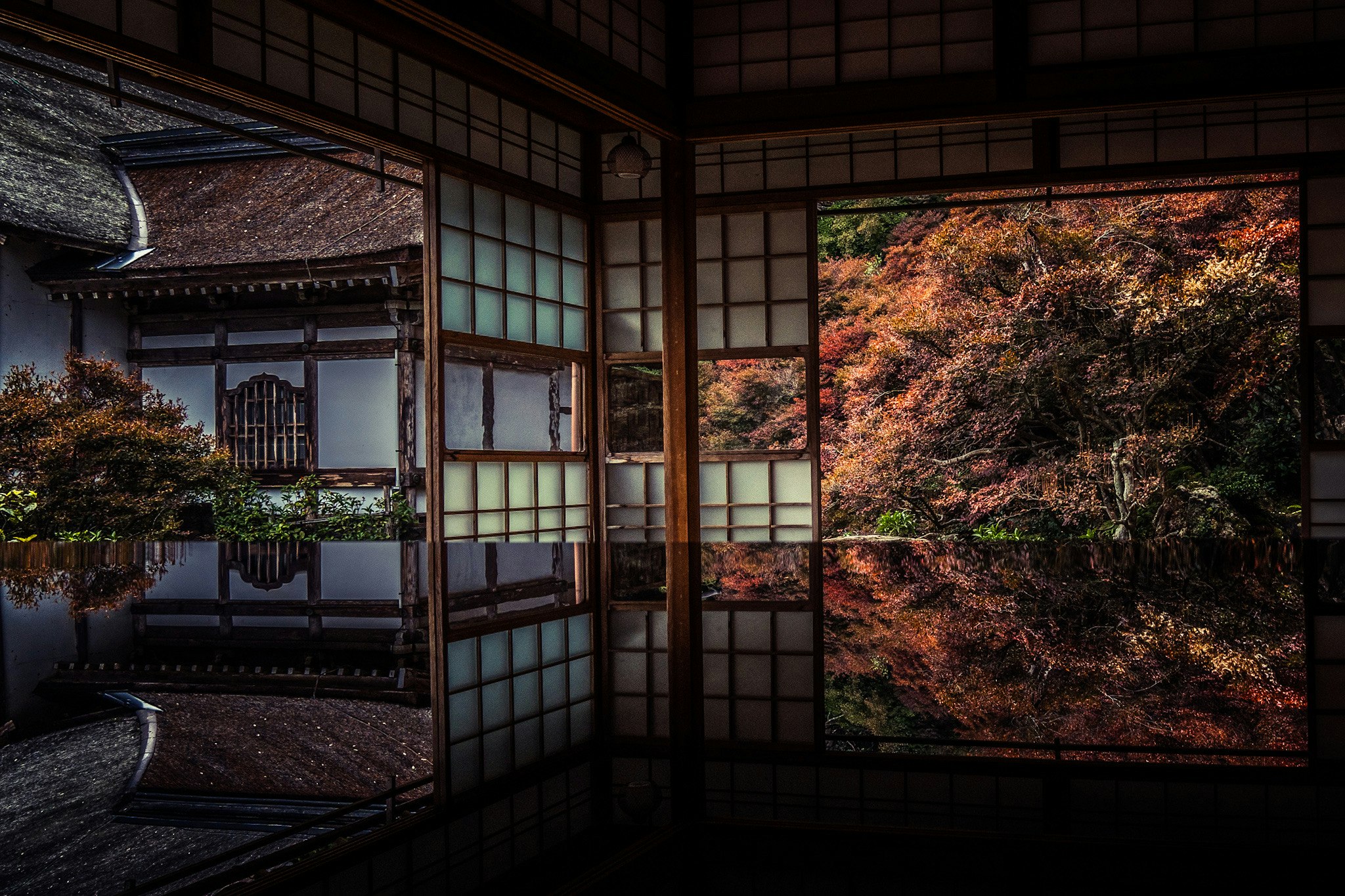 東光寺のライトアップで紅葉とリフレクションが映る寺院の回廊の景色