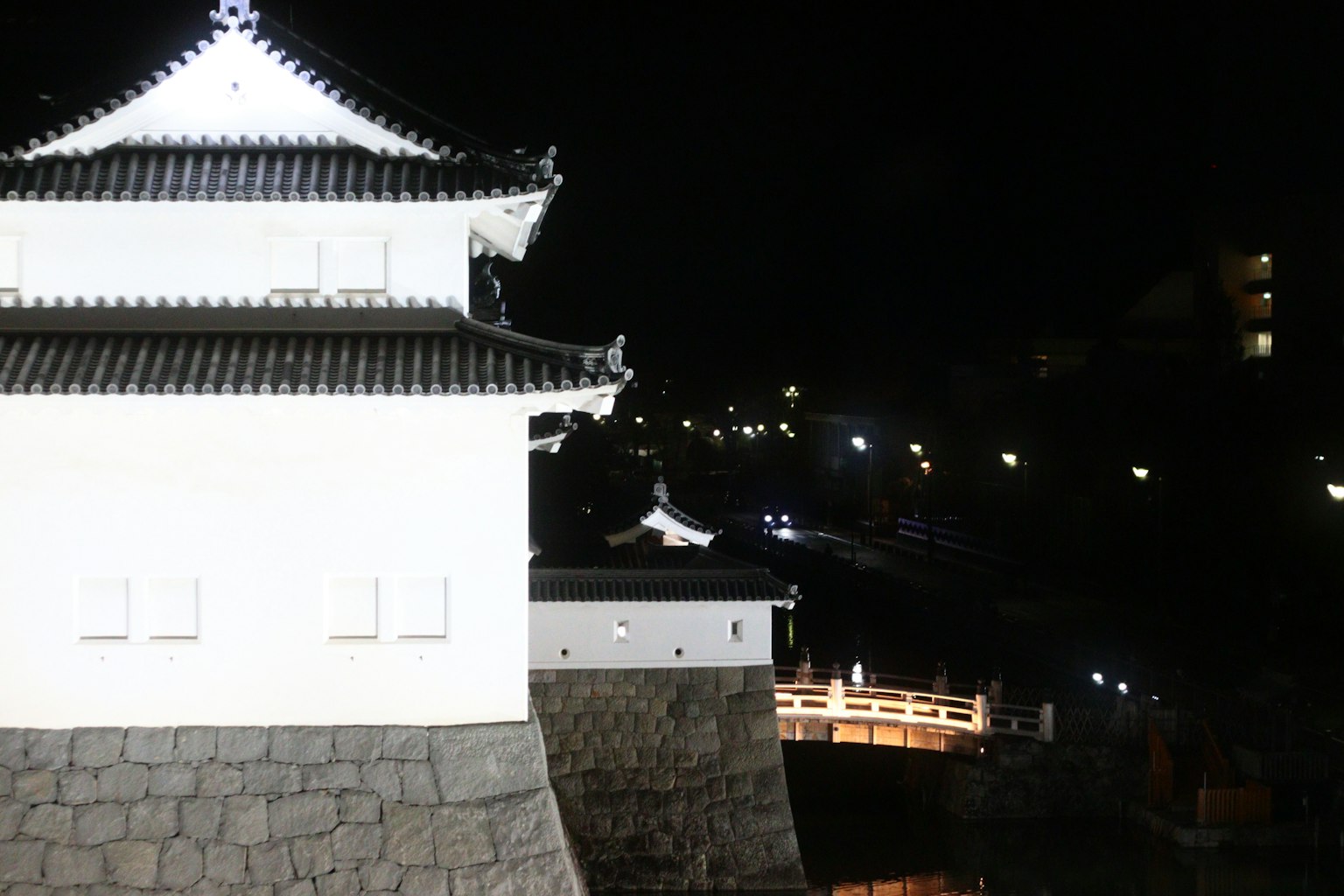 白色城堡和橋的夜景