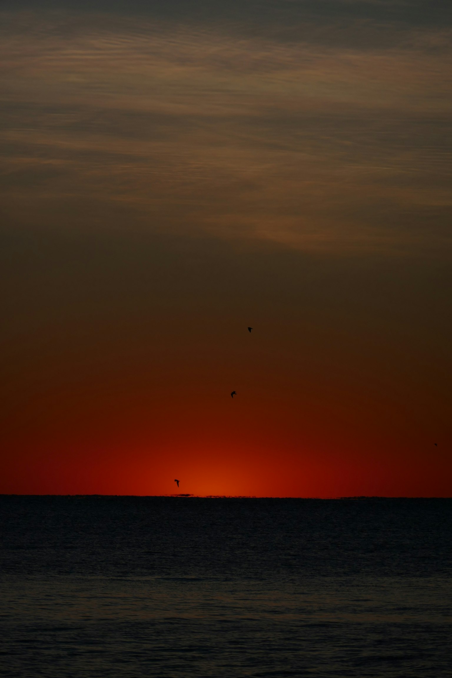 Silhouette del tramonto all'orizzonte dell'oceano