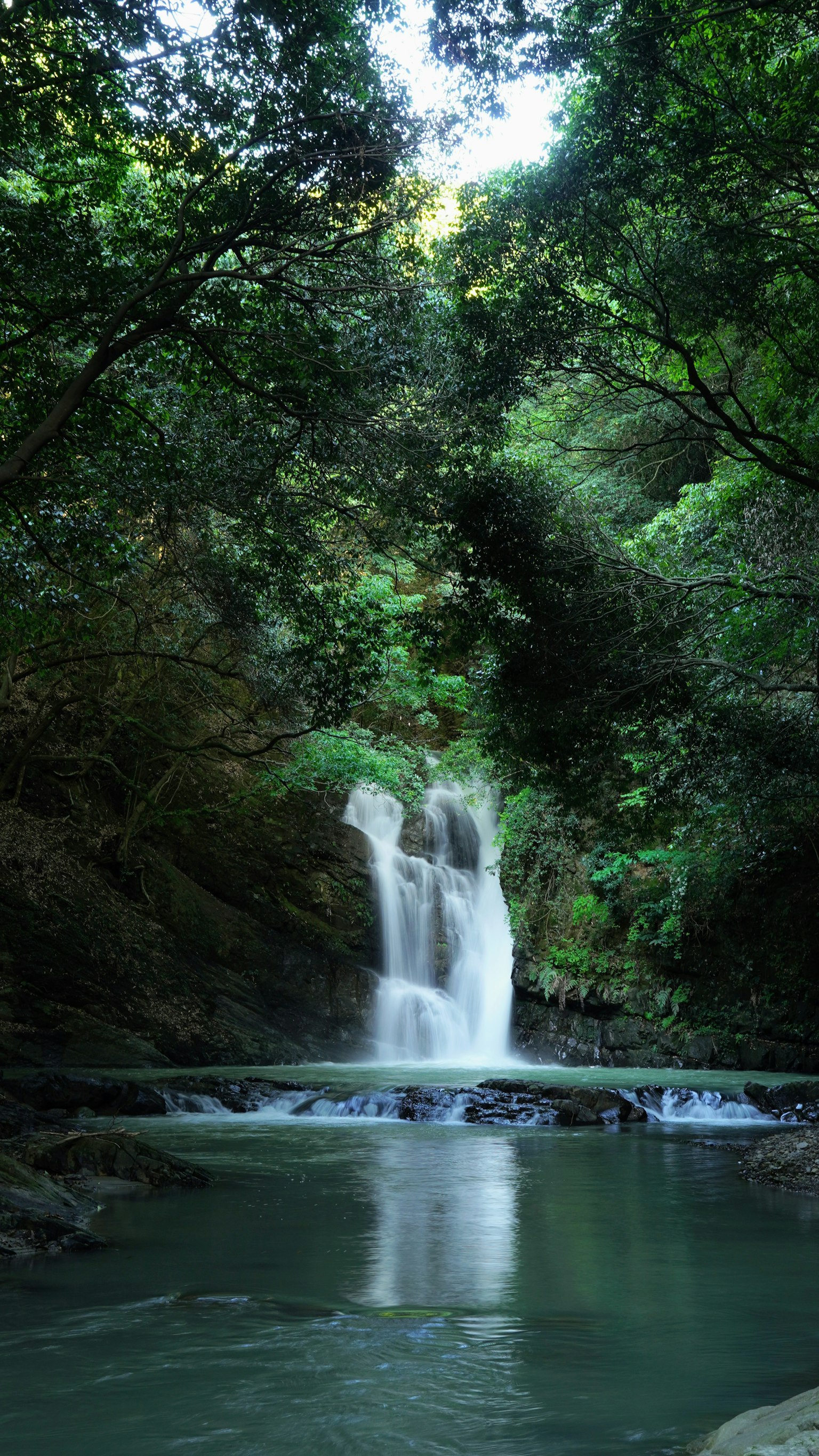 Ein schöner Wasserfall, umgeben von üppigen grünen Bäumen