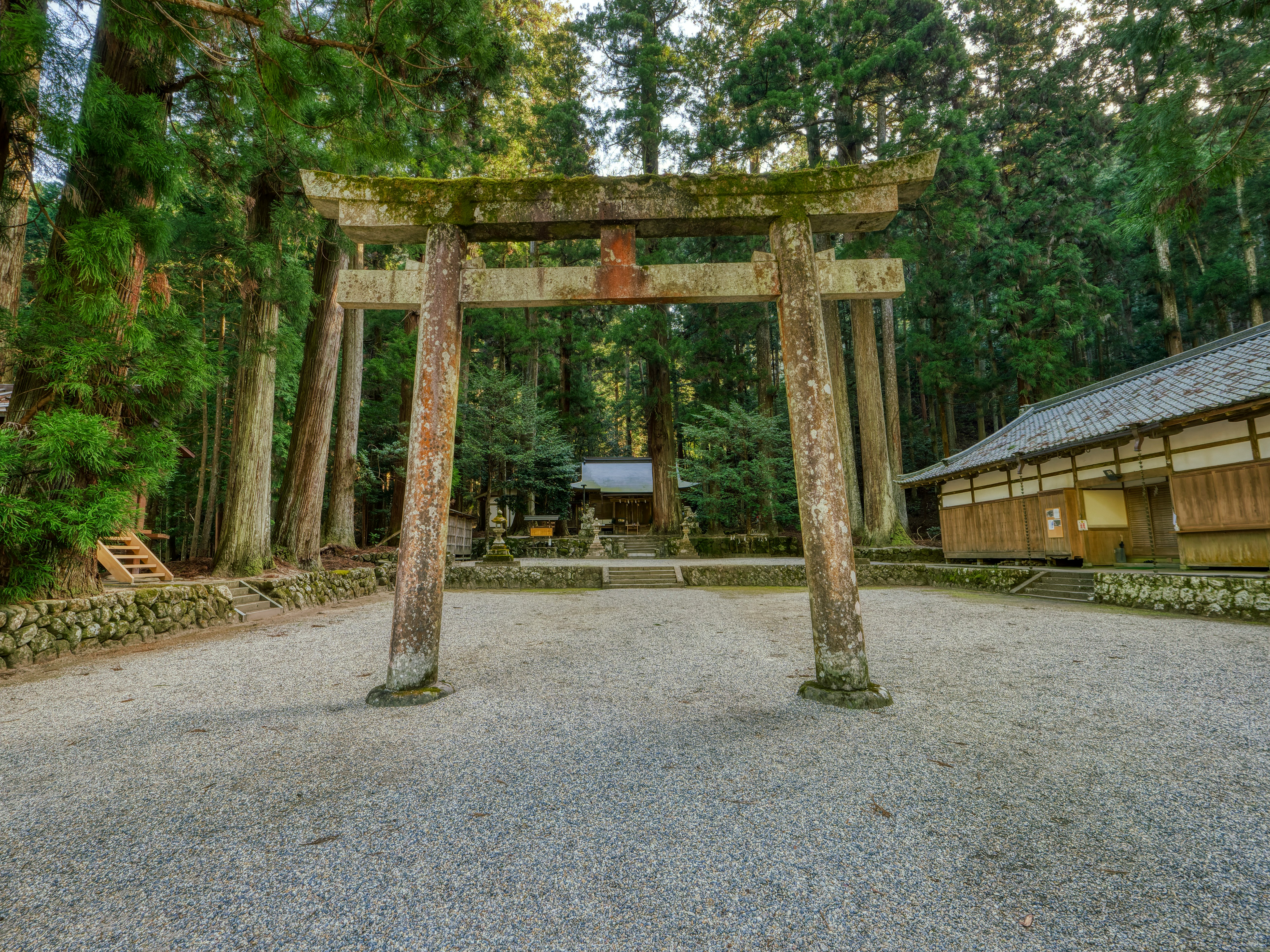 室生龍穴神社林間鳥居與參道石階