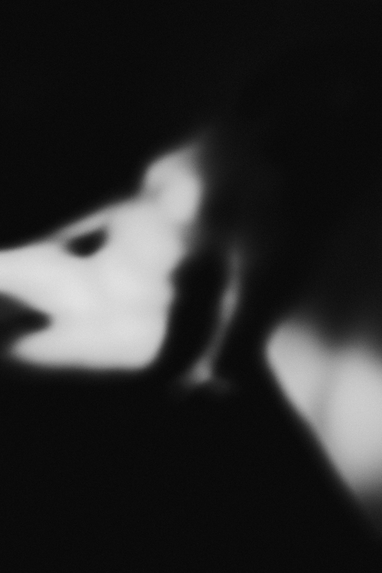 Image floue en noir et blanc ressemblant à une silhouette de portrait d'un visage