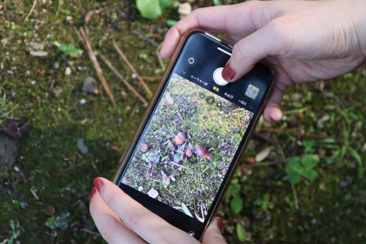 Une personne tenant un smartphone pour capturer une scène naturelle au sol