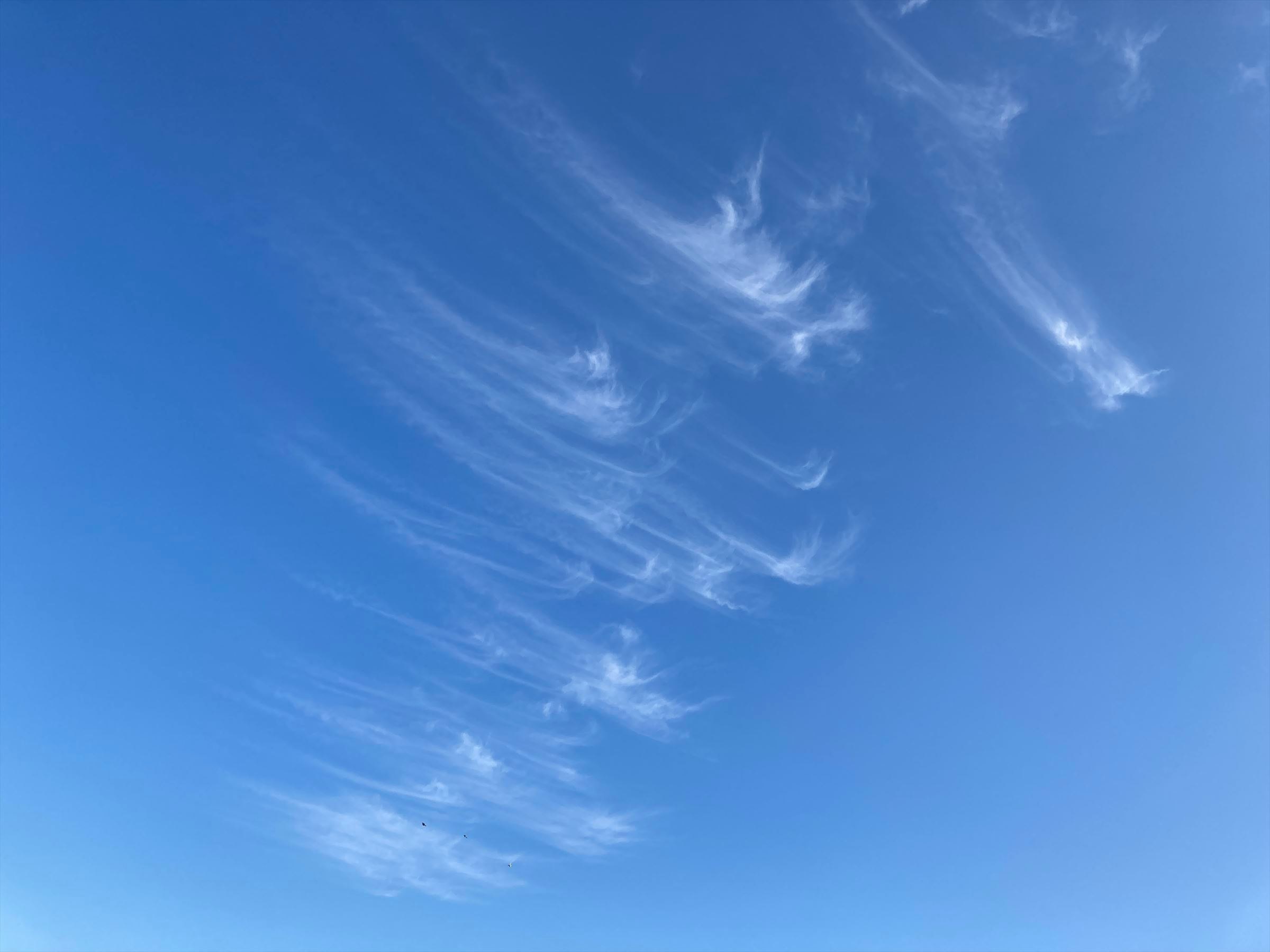 青空に流れる雲のワイドな空景