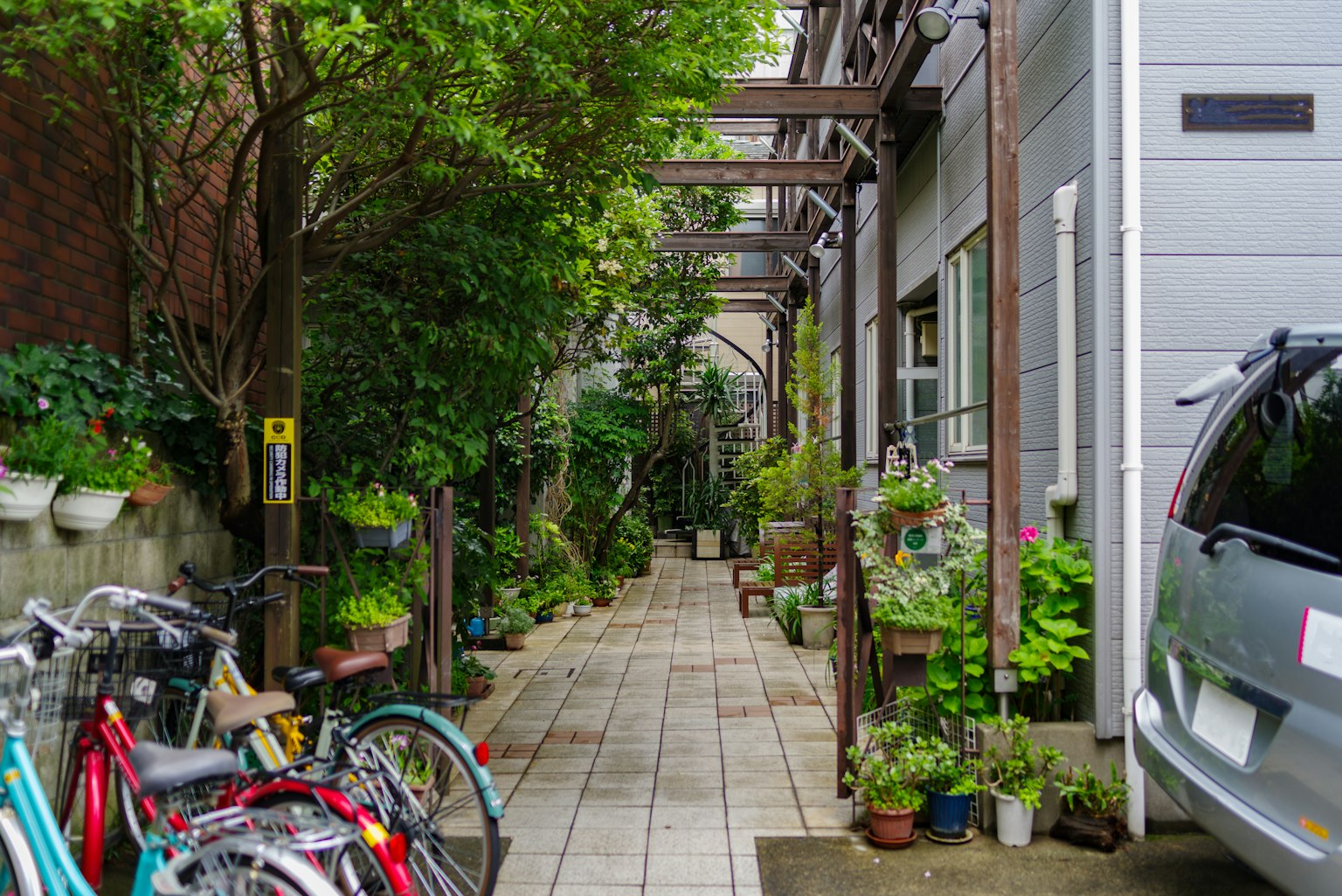 เส้นทางที่เขียวขจีเต็มไปด้วยจักรยานและล้อมรอบด้วยพืชพรรณ