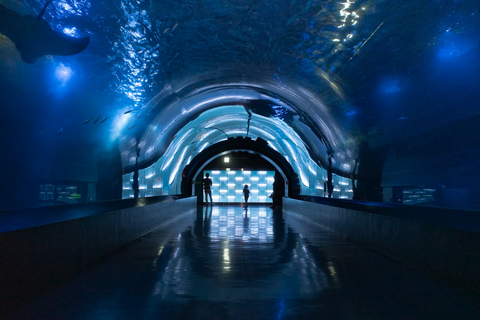 Tunnel sous-marin avec éclairage bleu et murs ondulés