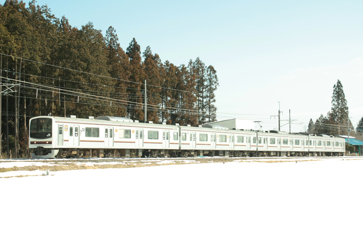 รถไฟสีขาววิ่งผ่านภูมิทัศน์ที่มีหิมะปกคลุมและต้นไม้