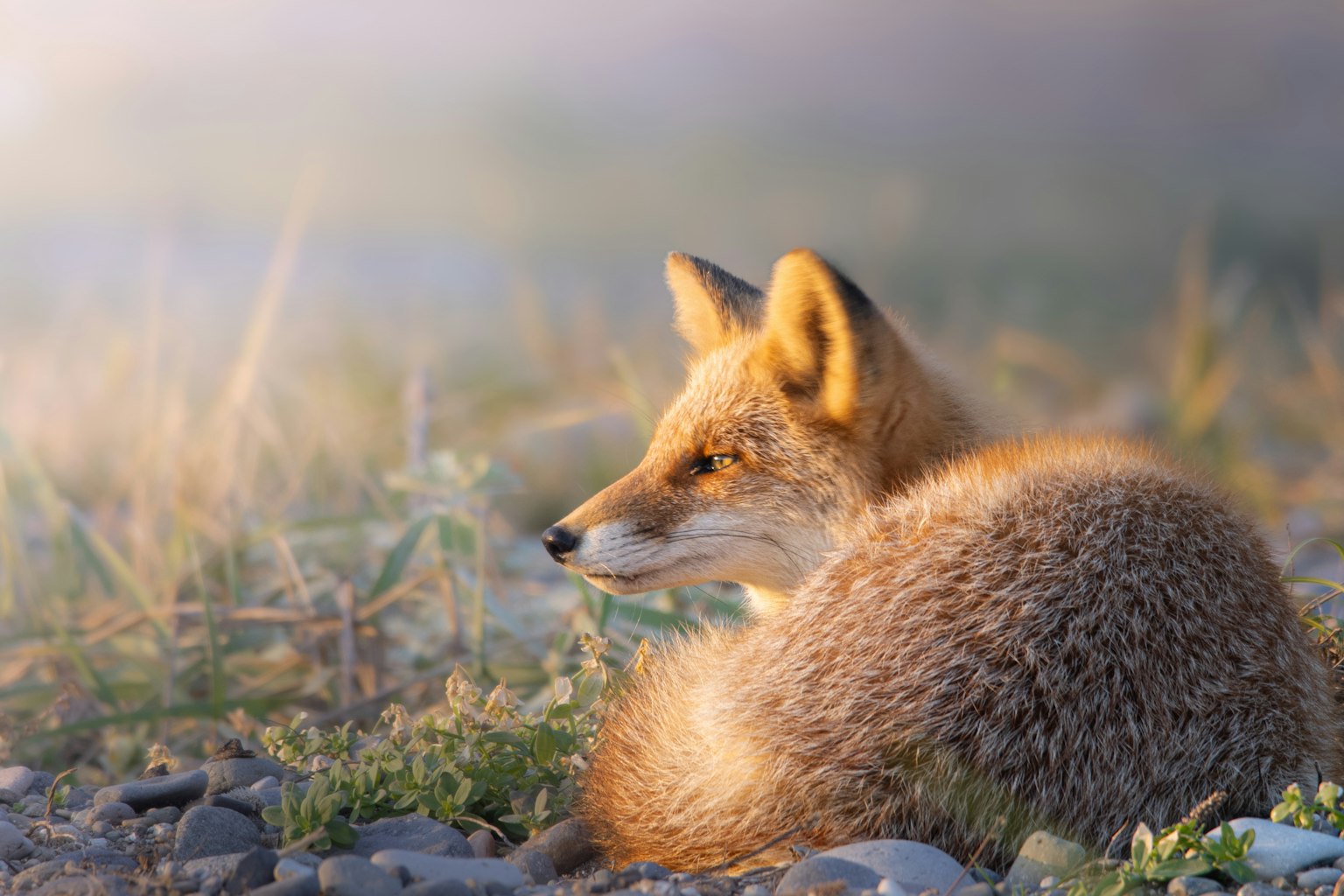 photo-otfhyXunCKf0tb2lpRJj-image