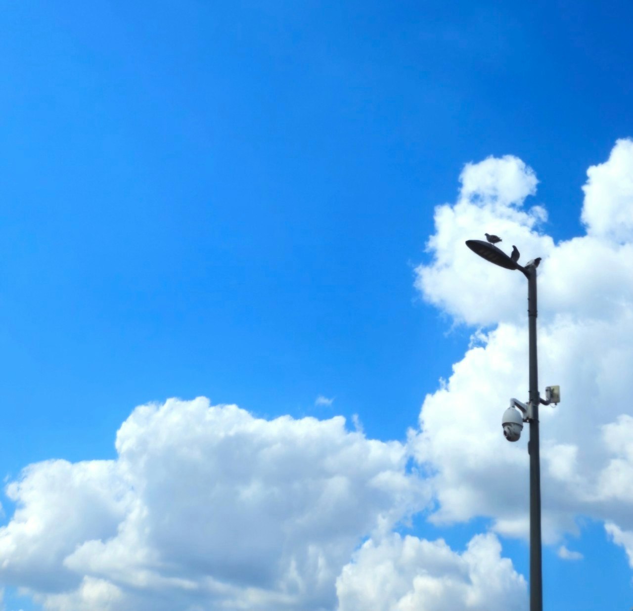 青空と雲の下の街灯
