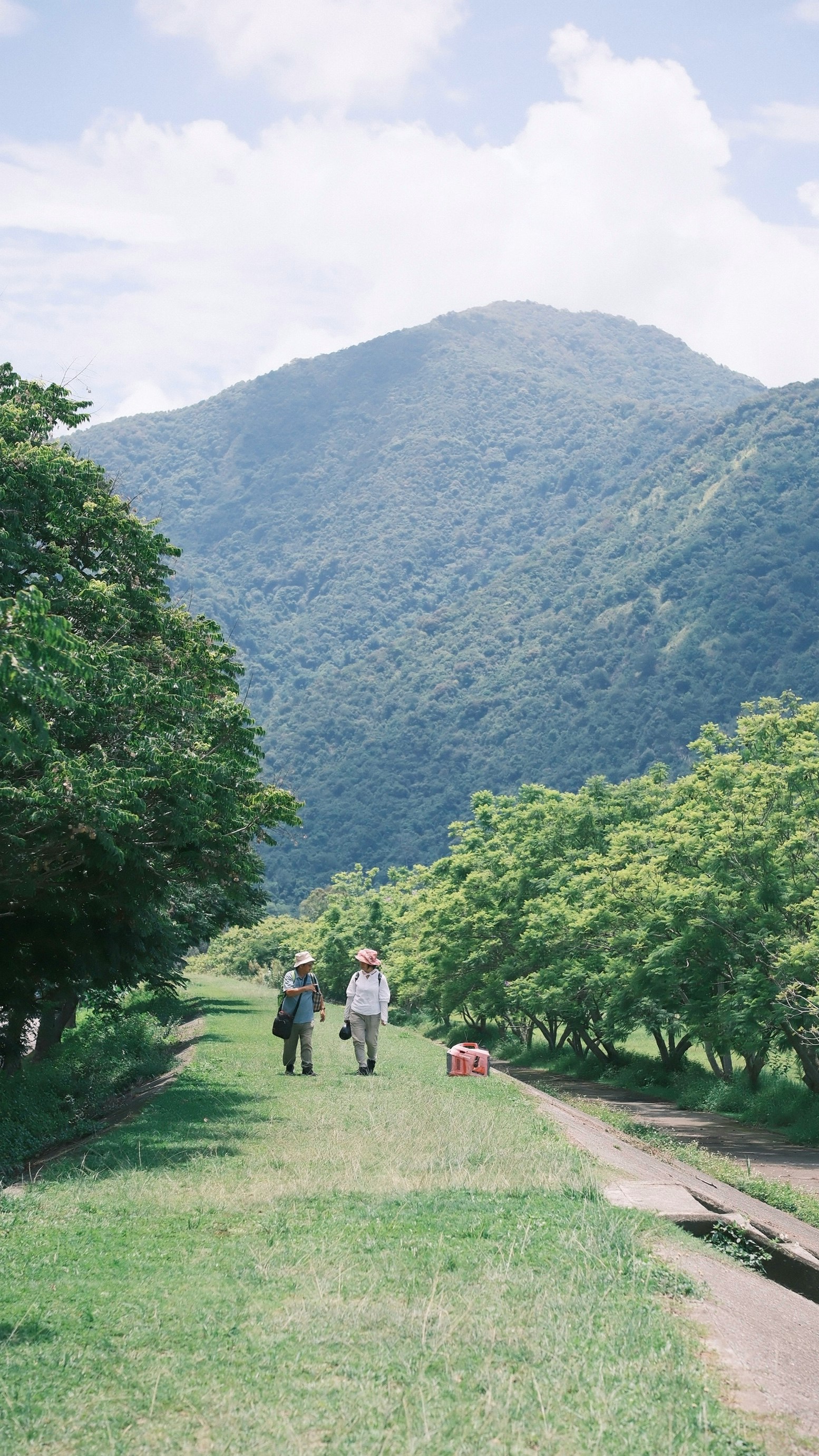 山並みを見上げる道を歩く人々と夏の陽光