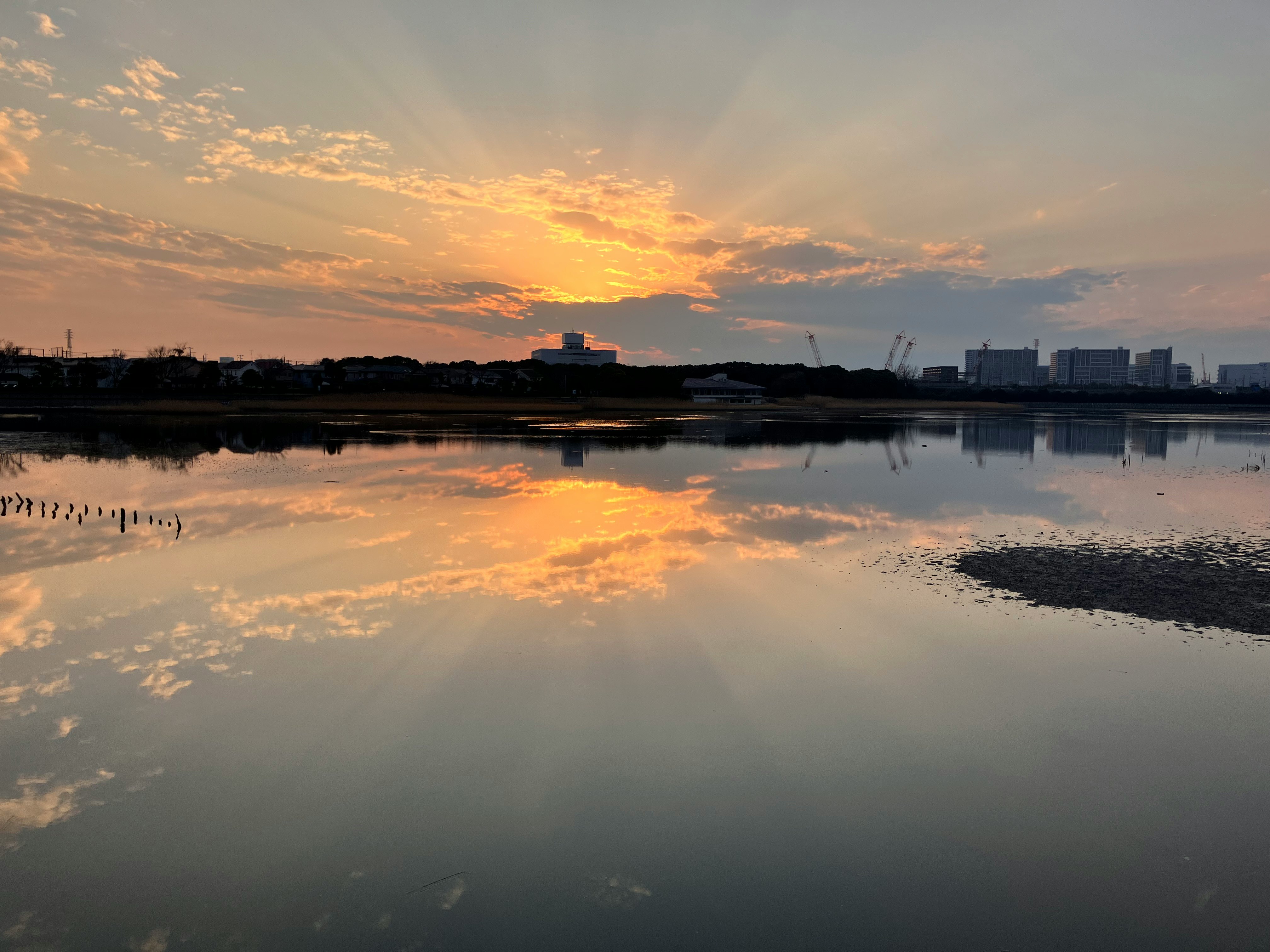 干潟に映る夕陽の反射が広がる風景