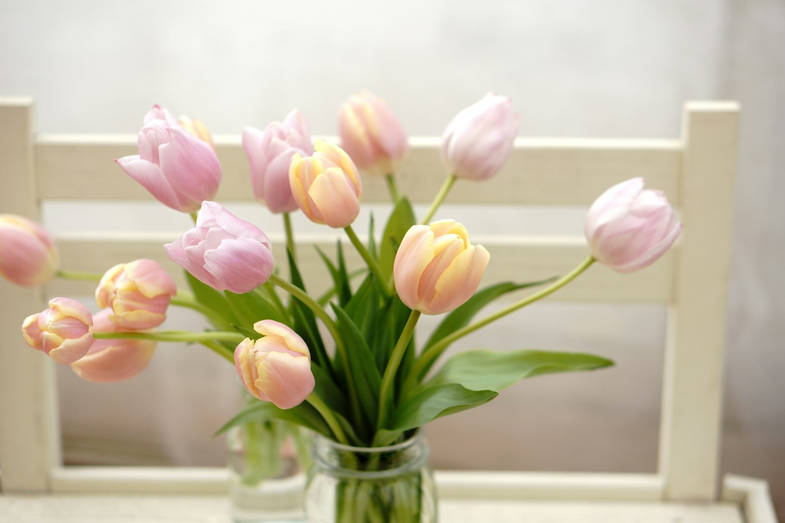 Một bó hoa tulip hồng và kem trong một lọ trong suốt