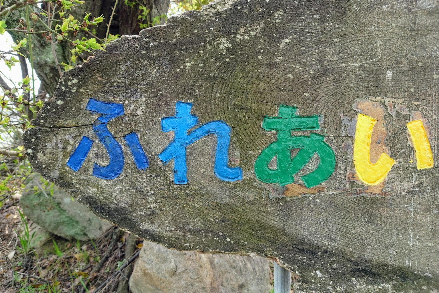 木制标志的图像，上面有蓝色、绿色和黄色的字母