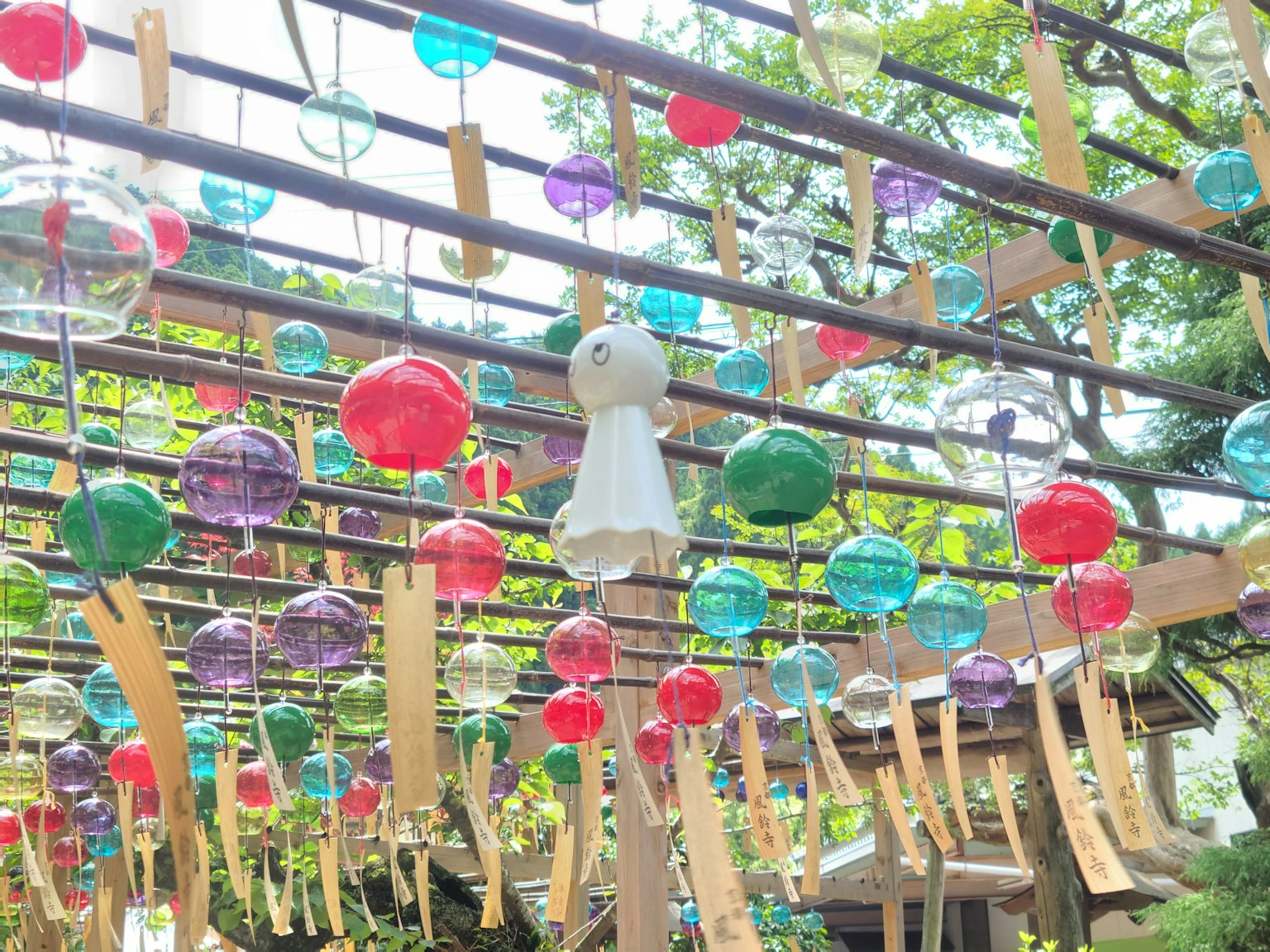 Chuông gió đầy màu sắc treo trong khung cảnh sống động bao quanh bởi cây cối