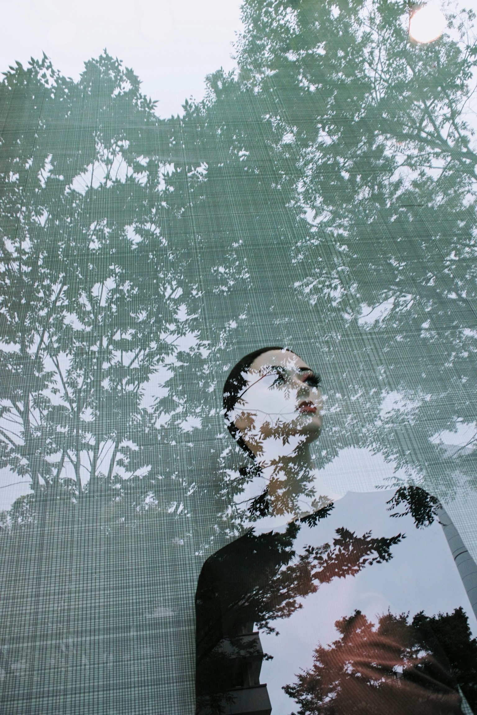 Photo artistique d'une silhouette se superposant aux reflets des arbres