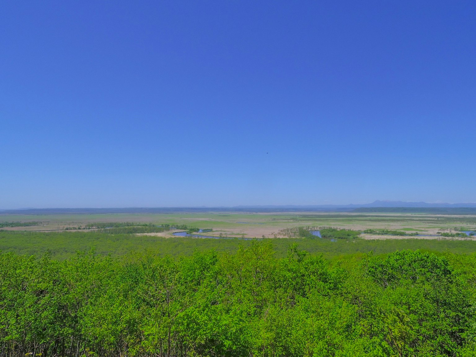 Amplio paisaje verde bajo un cielo azul claro