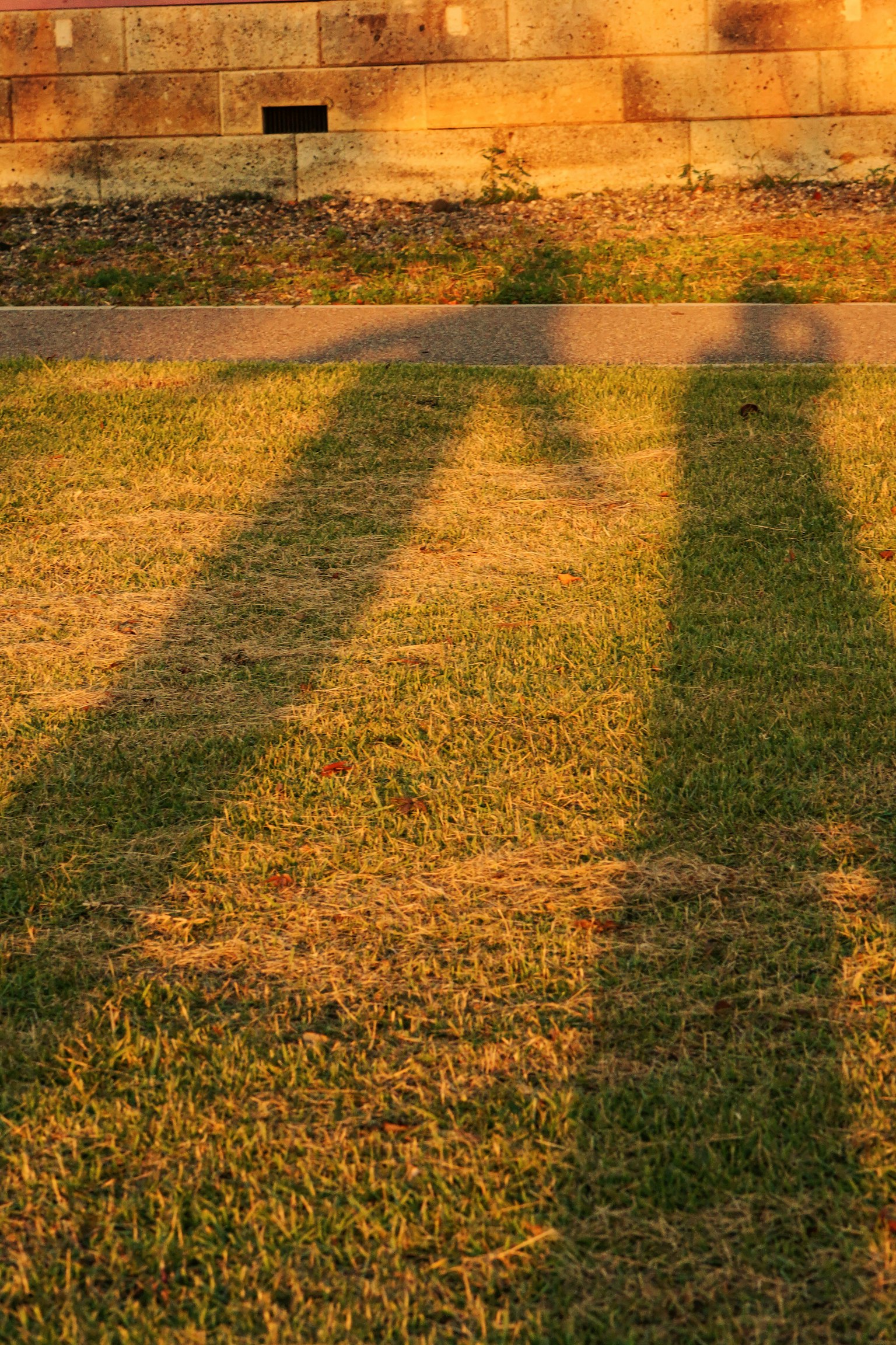 Zwei Schatten von Personen auf Gras mit einem Sonnenuntergang im Hintergrund