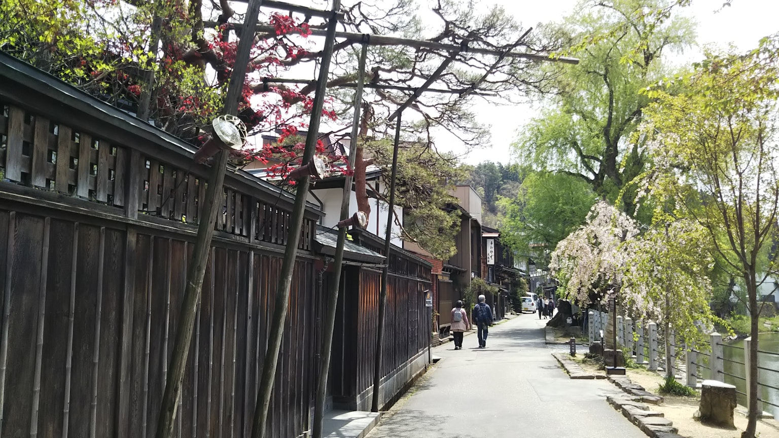 Jalan musim semi dengan bunga sakura dan orang berjalan