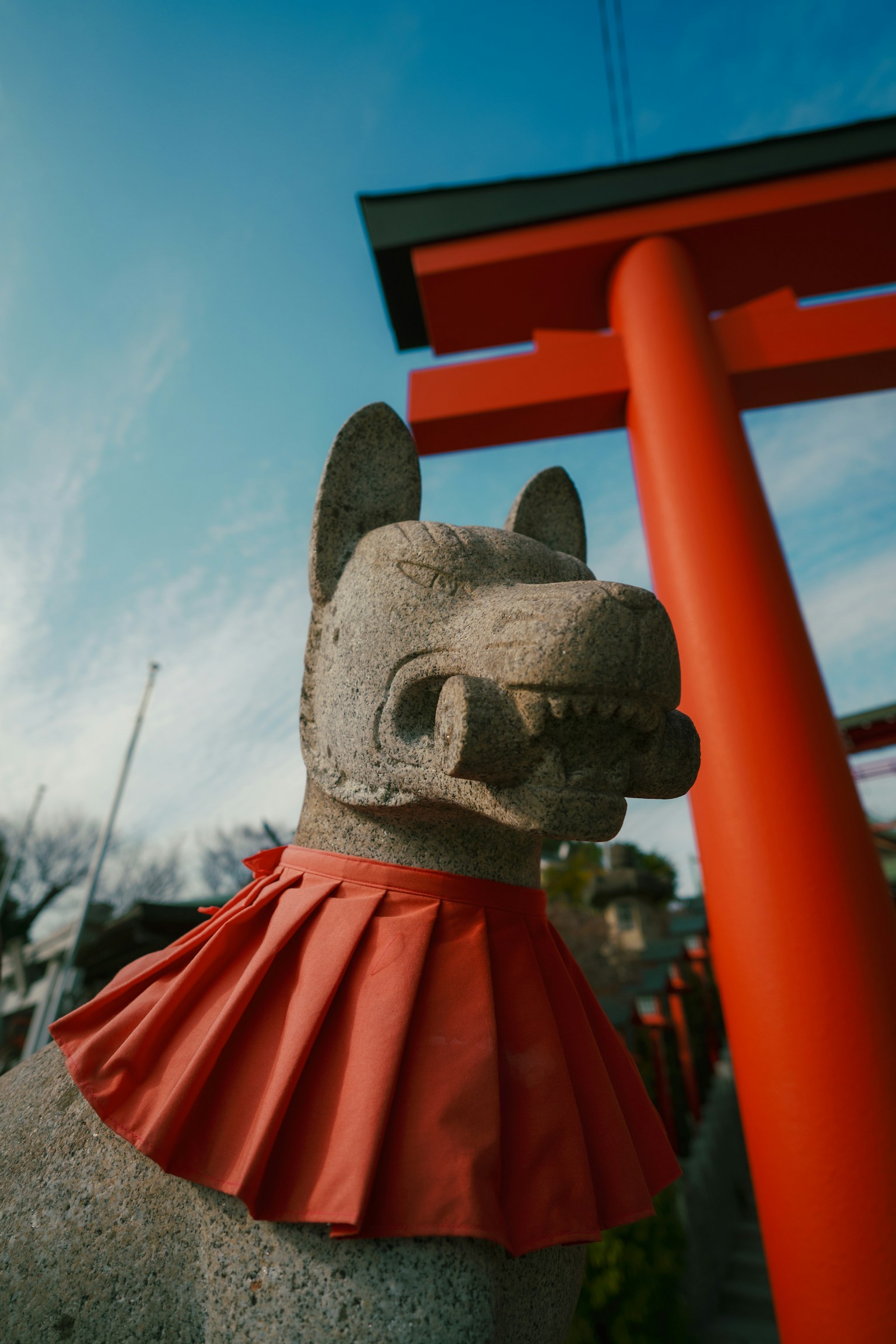 紅色項圈的石狐狸雕像在鳥居前
