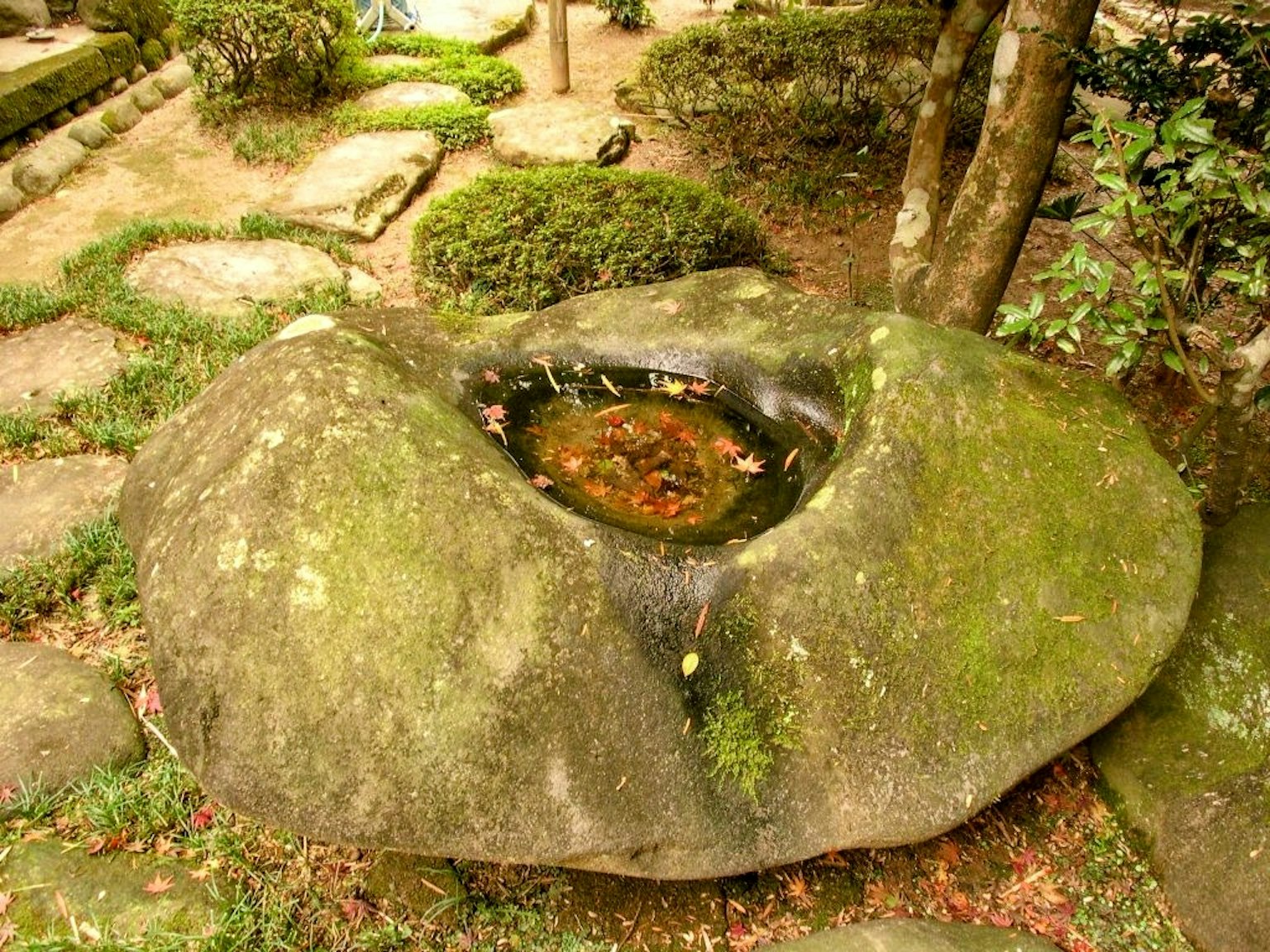 Stone water basin in a natural setting Large moss-covered rock with water pooling in the center