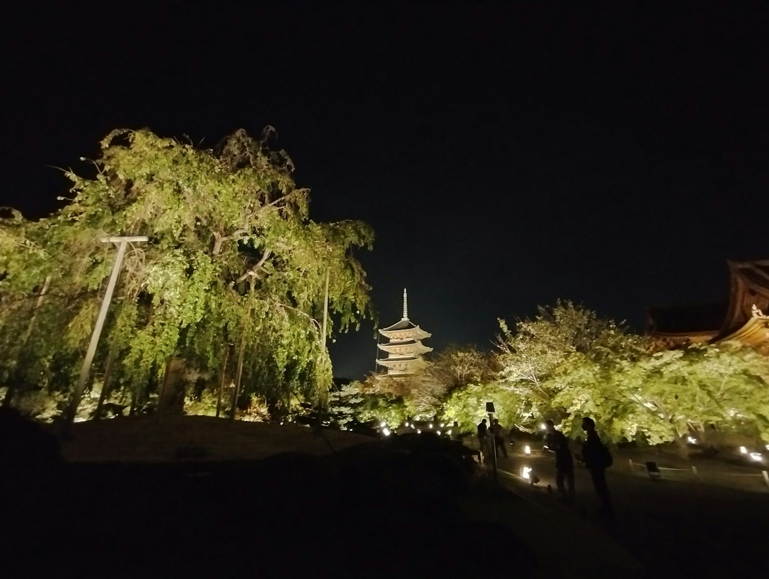 Eine nächtliche Szene mit beleuchteten Bäumen und einer Pagode in einem Garten