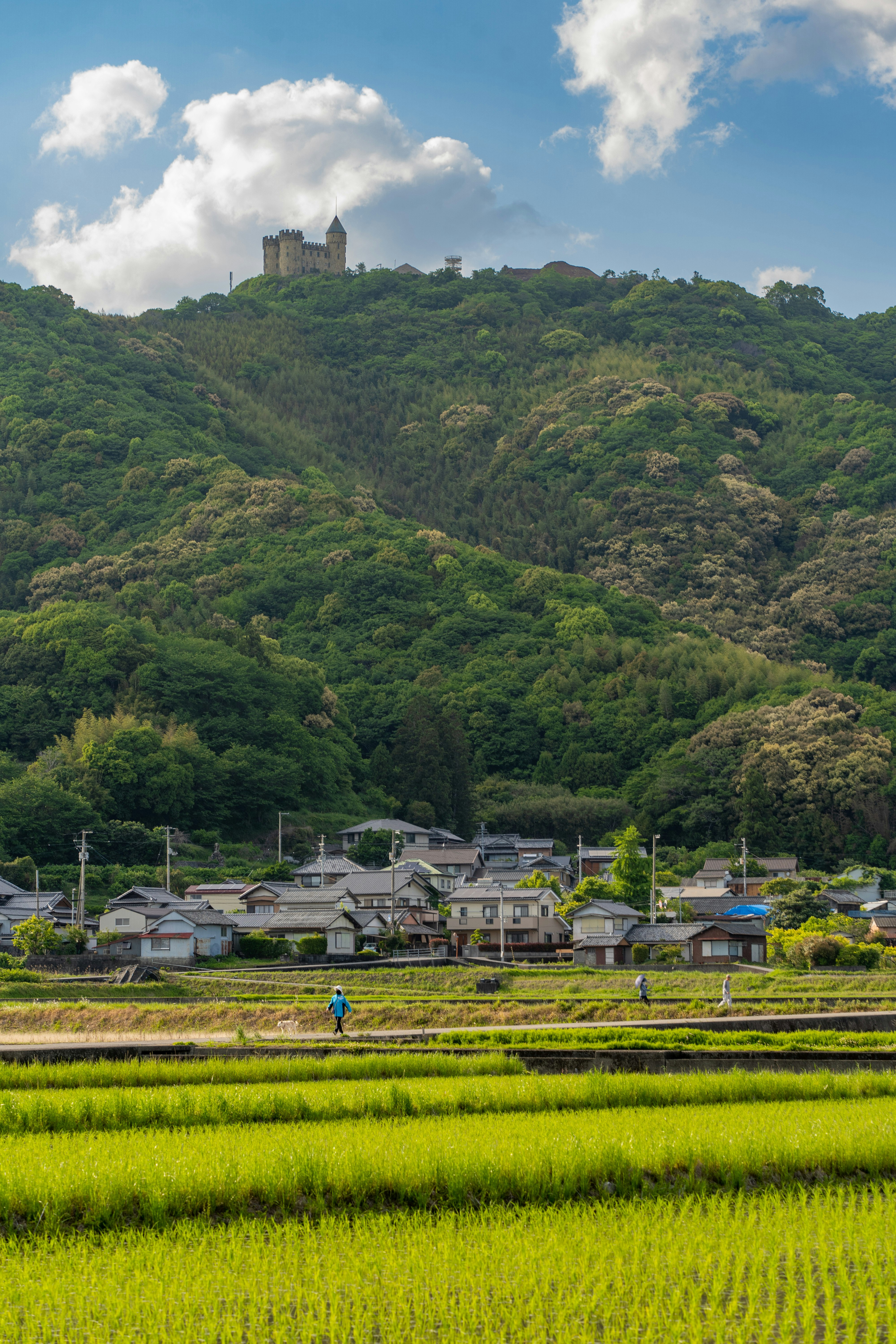 緑の山並みと田園に広がる集落の風景