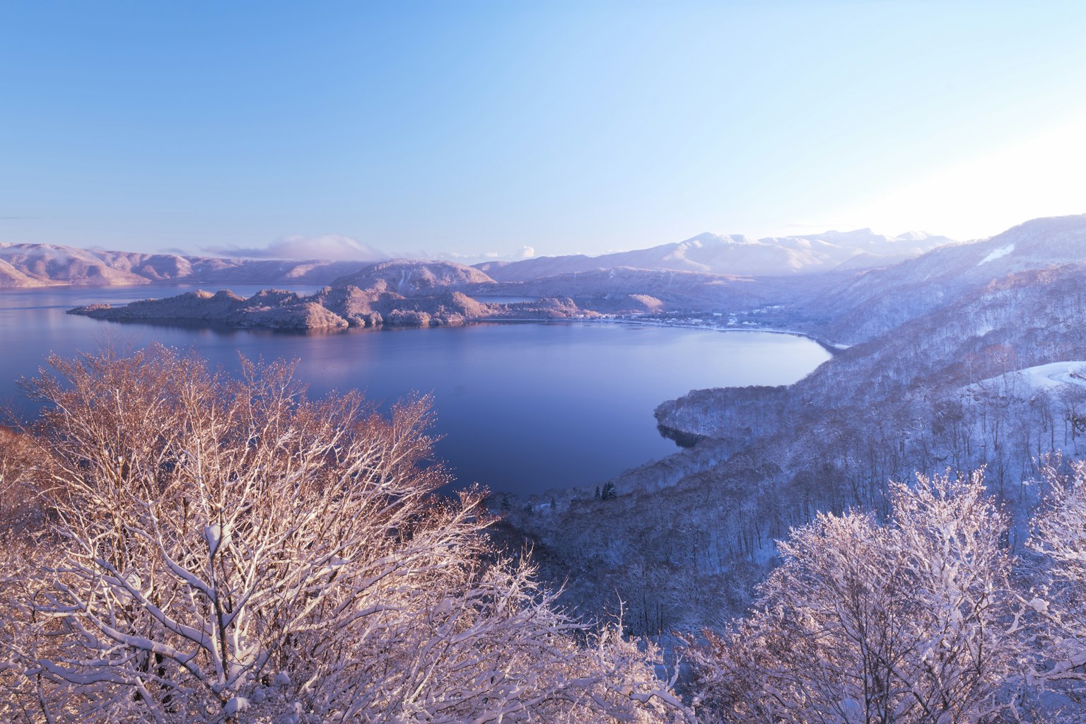 Snow-covered trees overlooking a serene blue lake