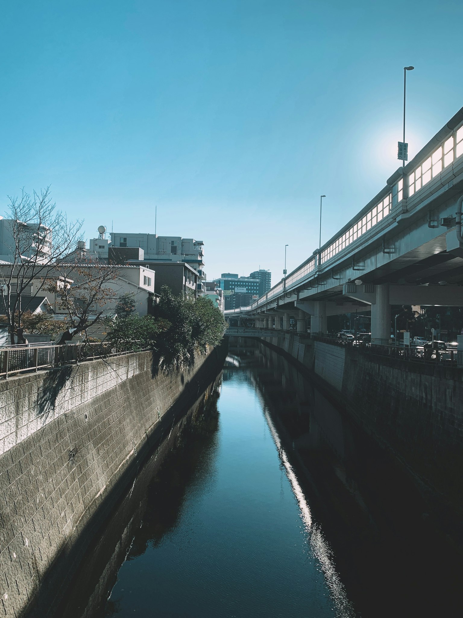 蓝天之下的河流和高架道路的景观