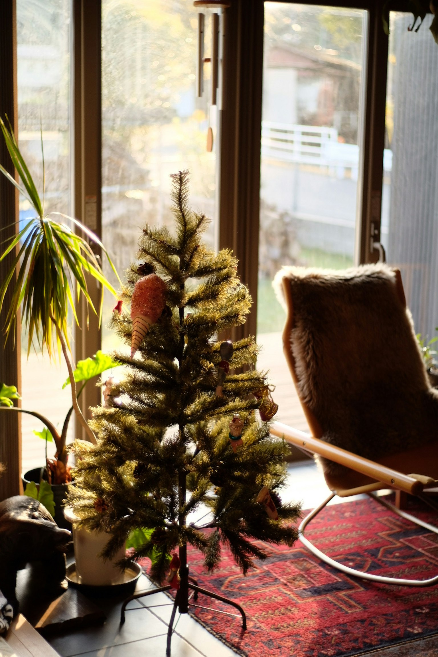 Scena di soggiorno accogliente con un piccolo albero di Natale e piante d'appartamento