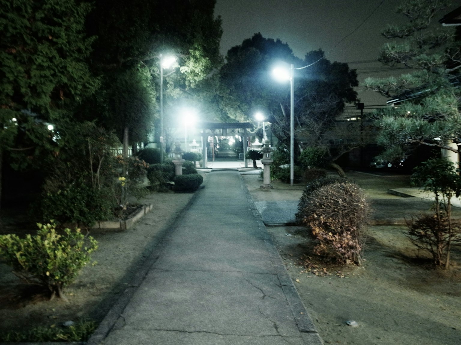 ทางเดินในสวนที่มีไฟถนนส่องสว่างในเวลากลางคืน