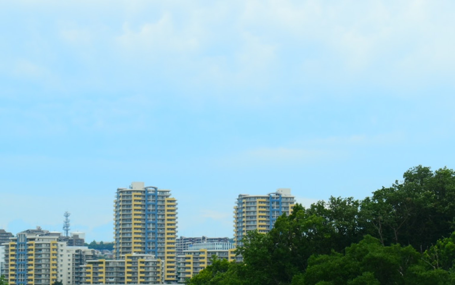 Orizzonte urbano con grattacieli sotto un cielo blu e alberi verdi in primo piano