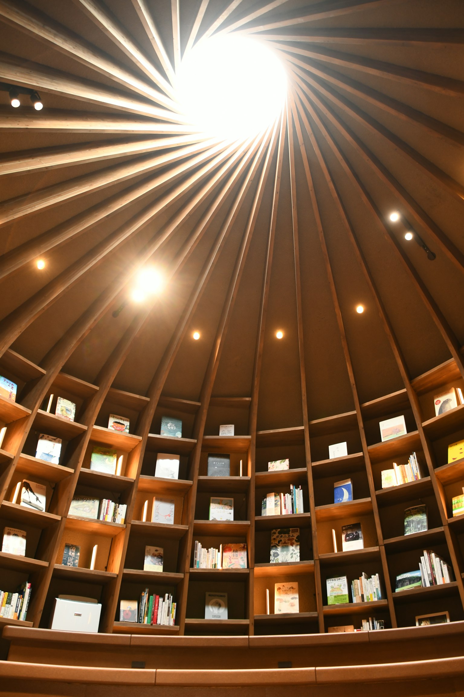 Interior of a circular library with wooden shelves and natural light streaming from the ceiling