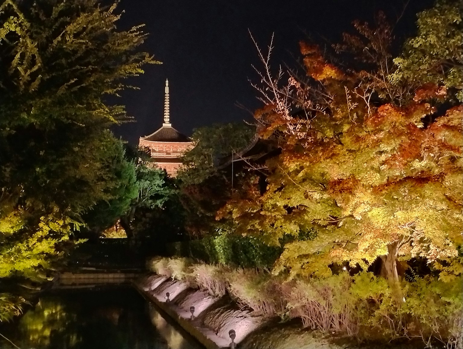 Vista panoramica di foglie autunnali e stagno in un parco di notte