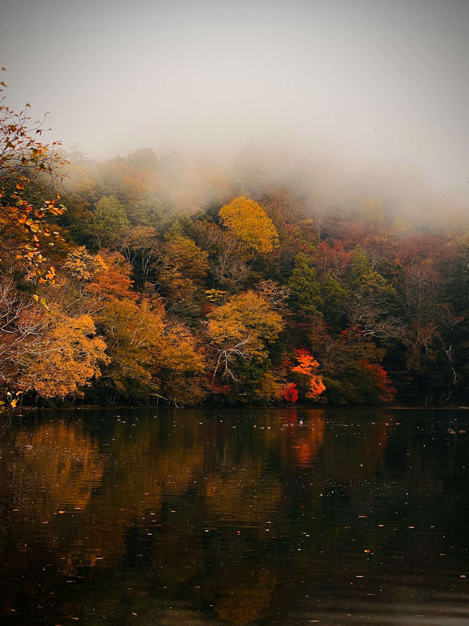 Nebliger Herbstwald mit bunten Bäumen, die sich in einem ruhigen See spiegeln