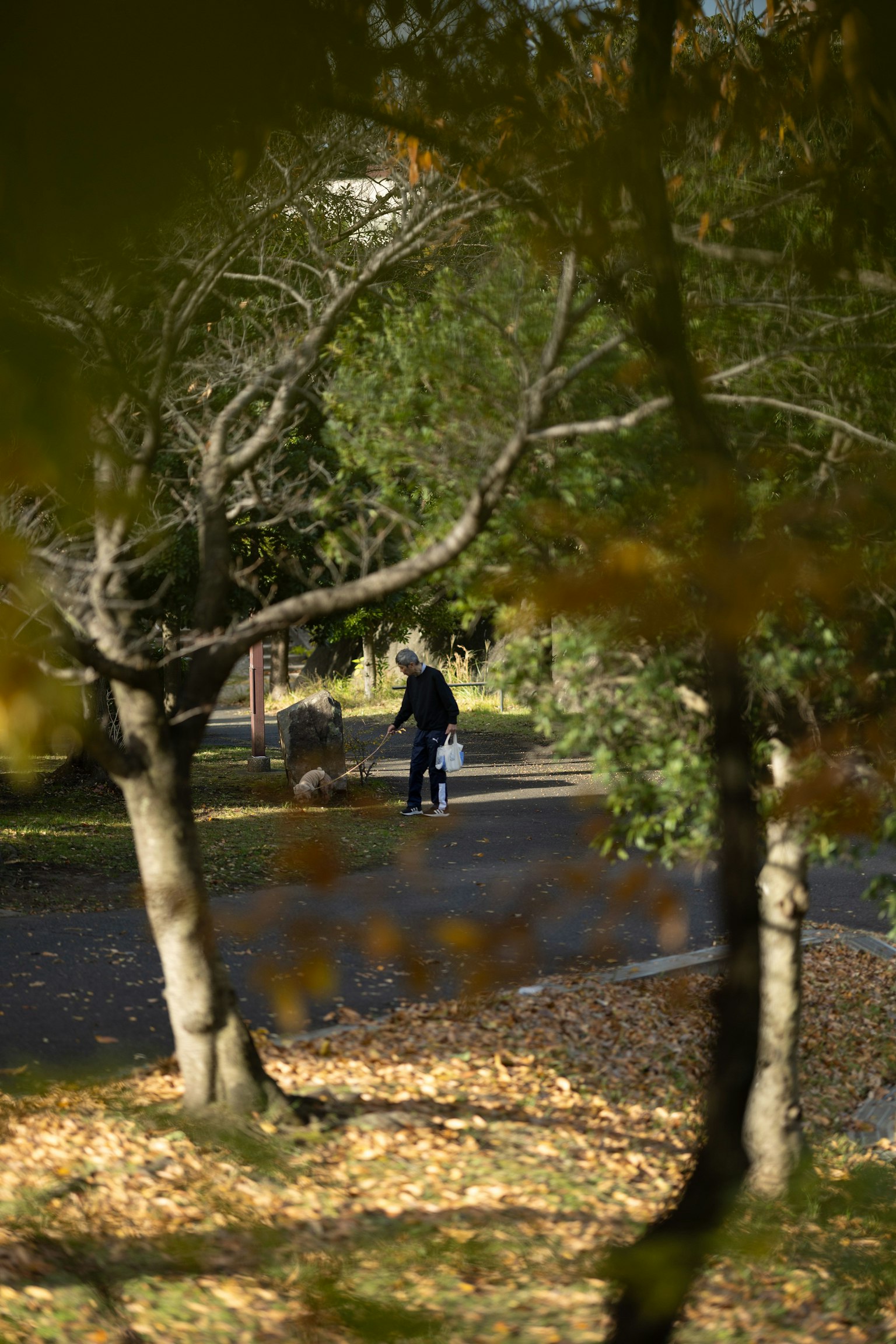 Person, die auf einem Parkweg geht, umgeben von Herbstblättern