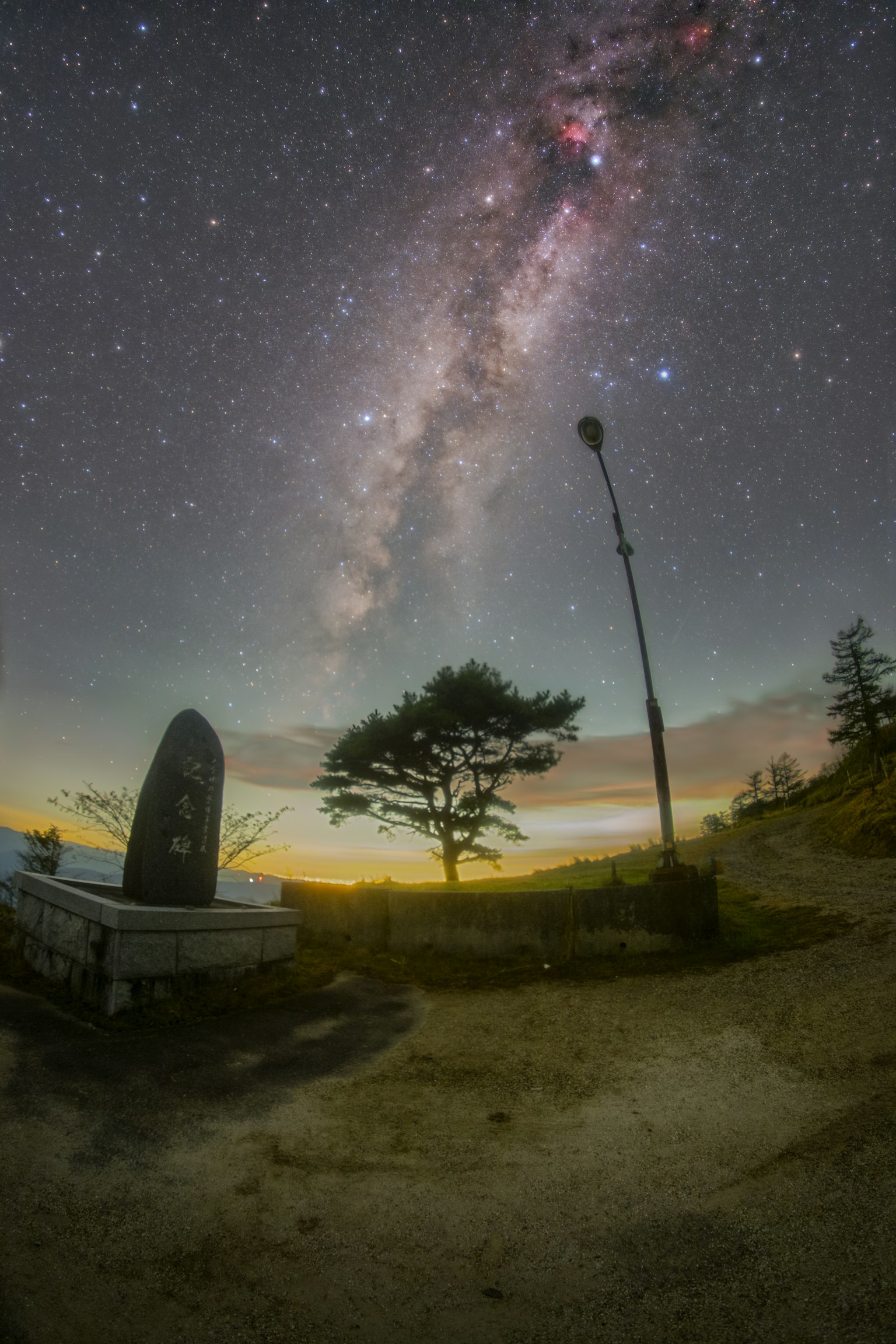 夜空中延伸的银河与孤独树木的轮廓