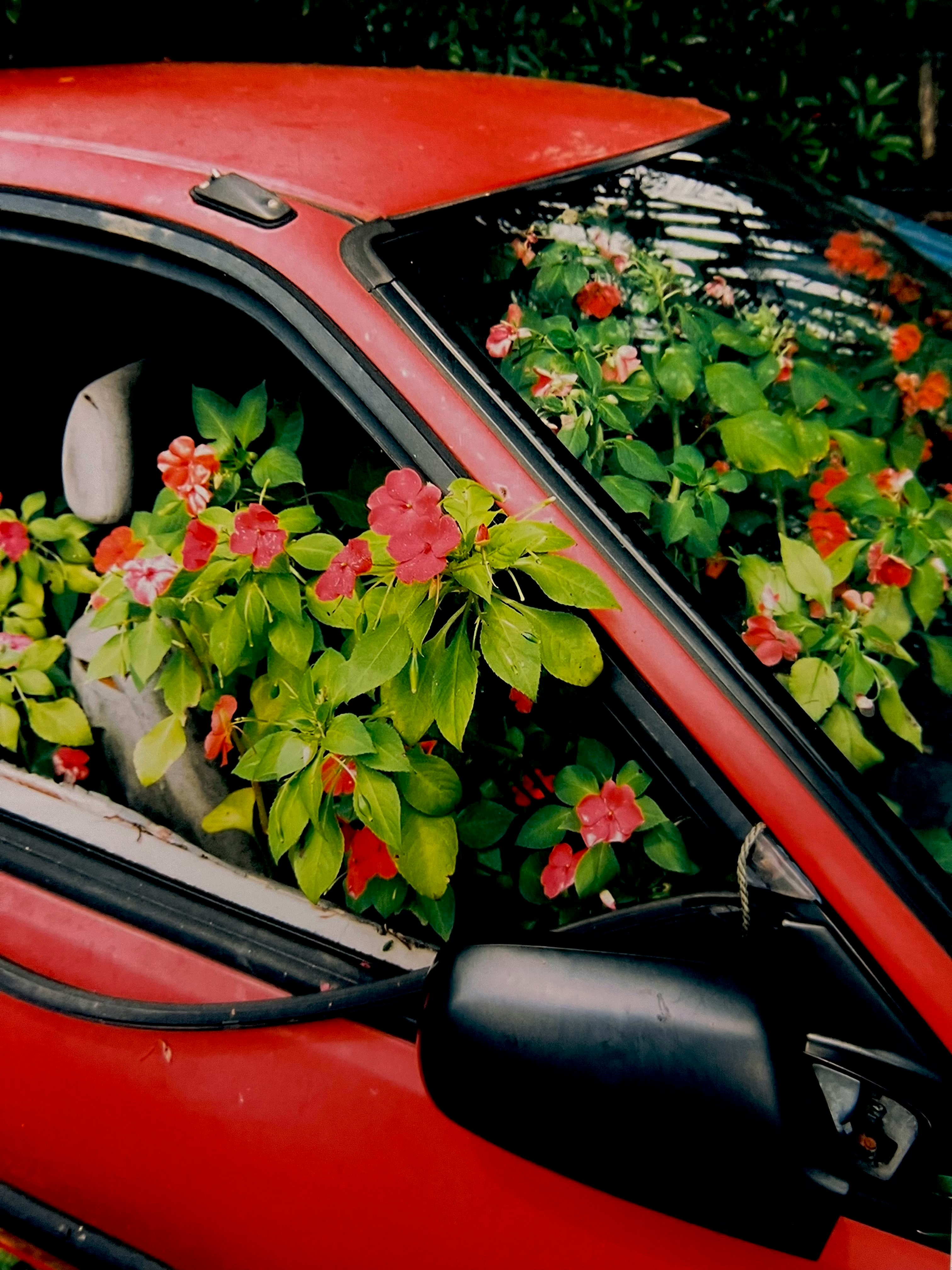 Finestrino di un’auto rossa con fiori in fiore