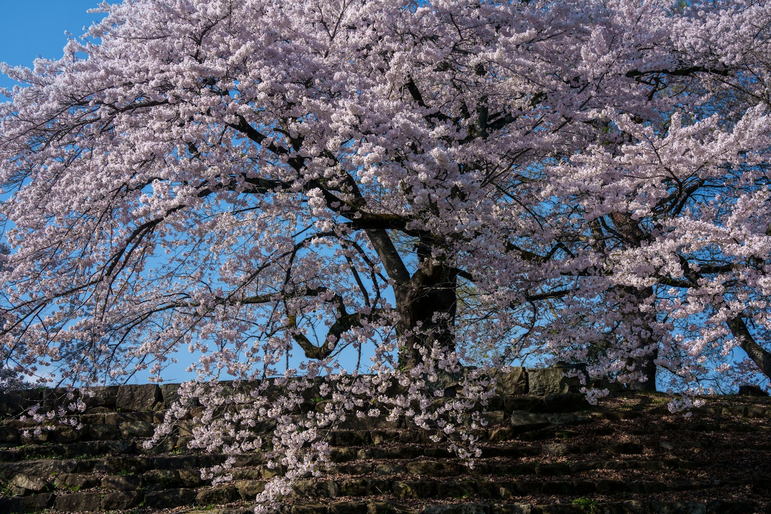 photo-p1VH64Kt4t027KUwa8yM-image