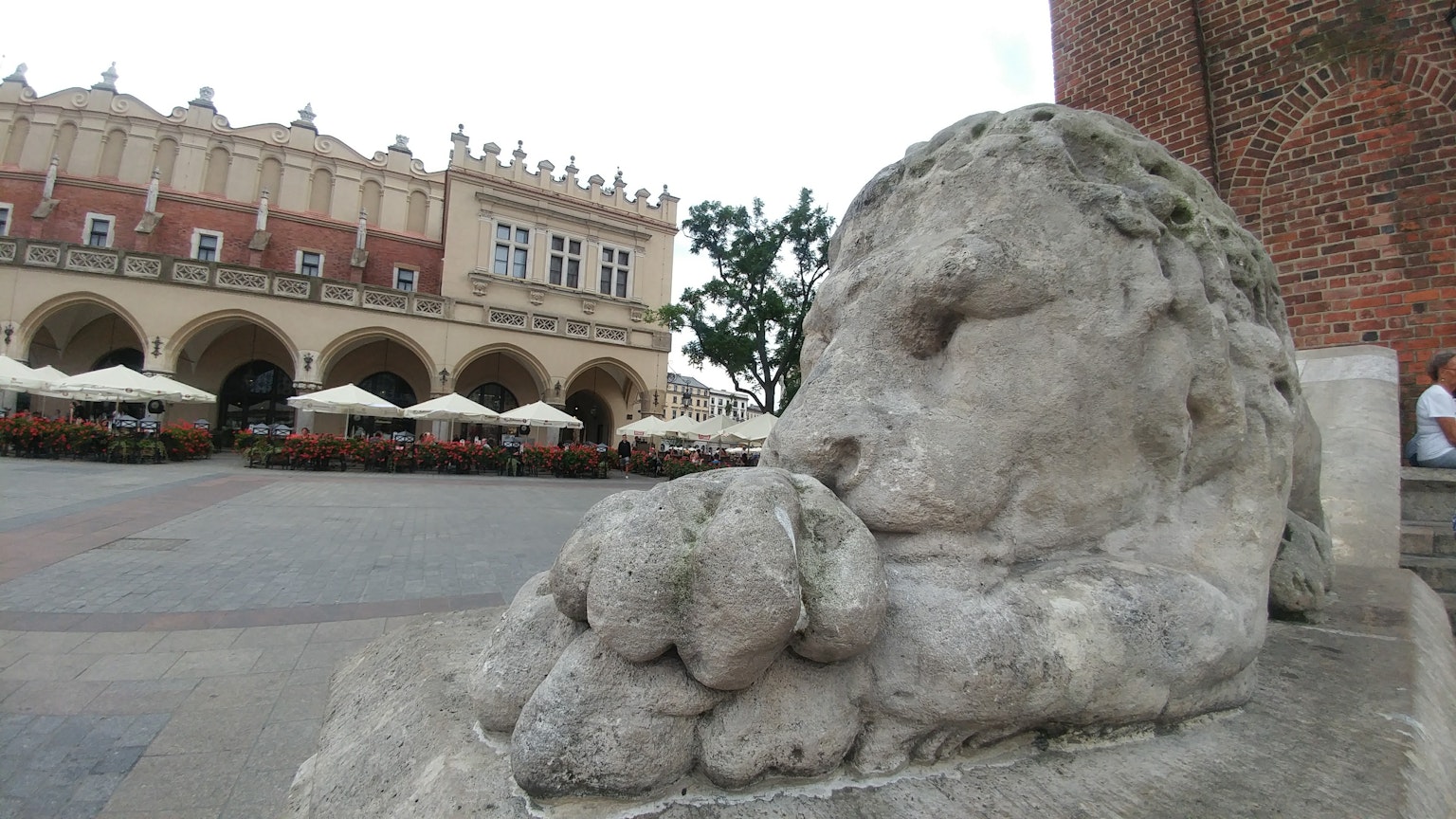 Patung singa di alun-alun Krakow dengan bangunan bersejarah
