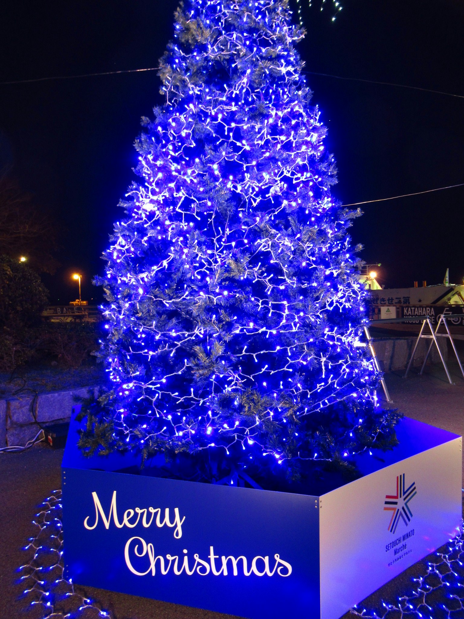 Albero di Natale illuminato di blu con la scritta Buon Natale